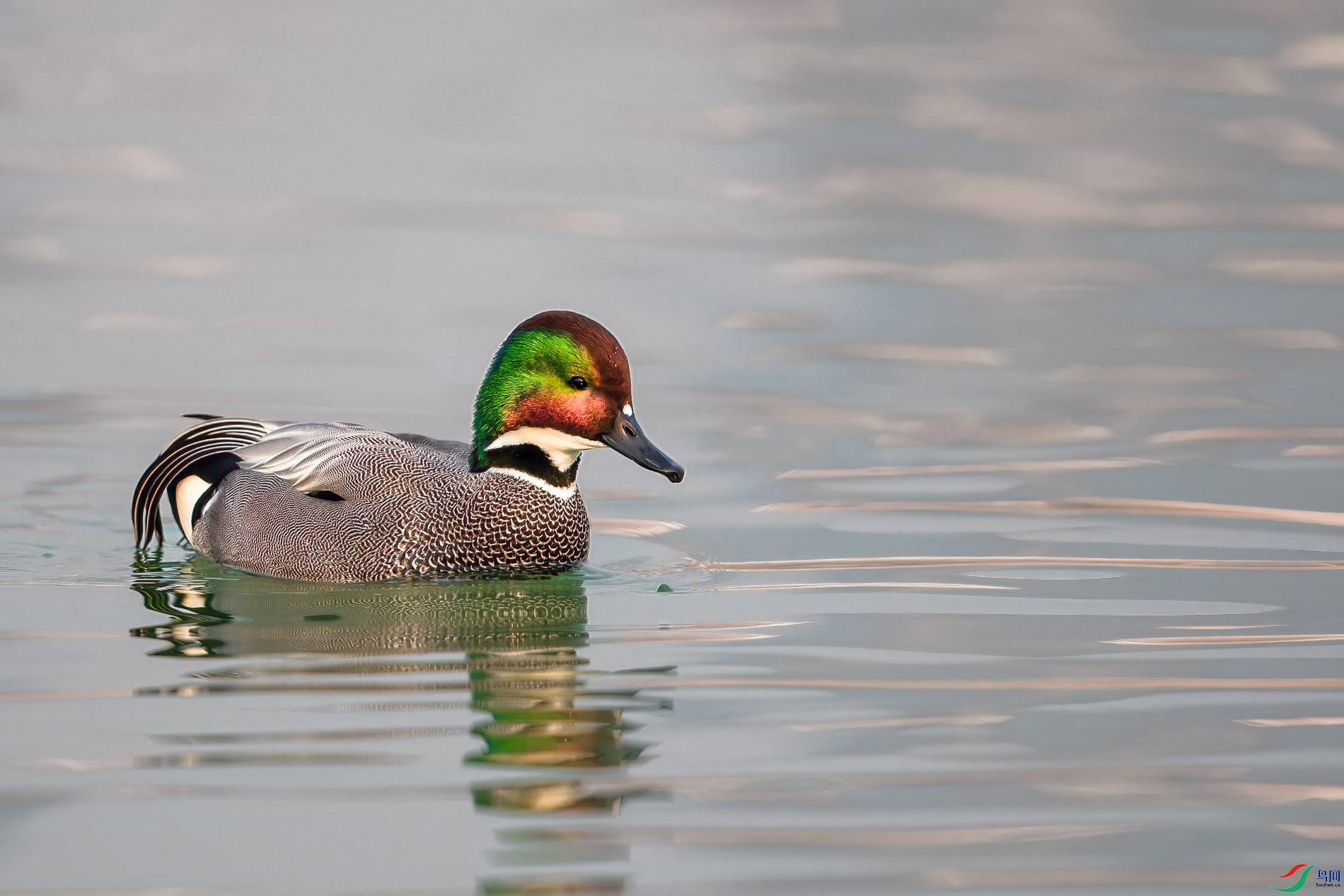 AQ4P2104-1.jpg
