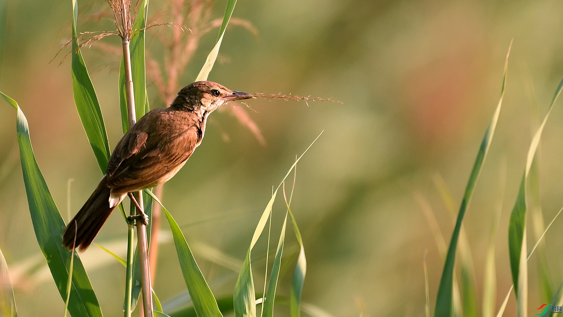 DSC_0588 (2)_����.jpg