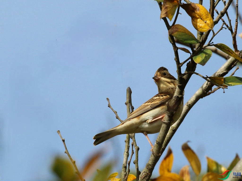 DSC20241104057.jpg