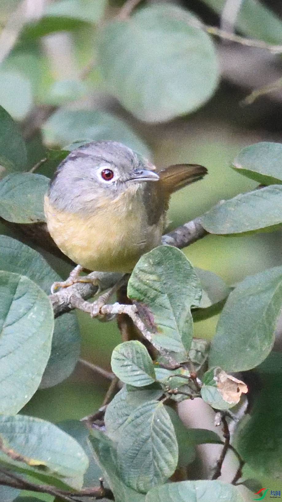 DSC_7302.JPG