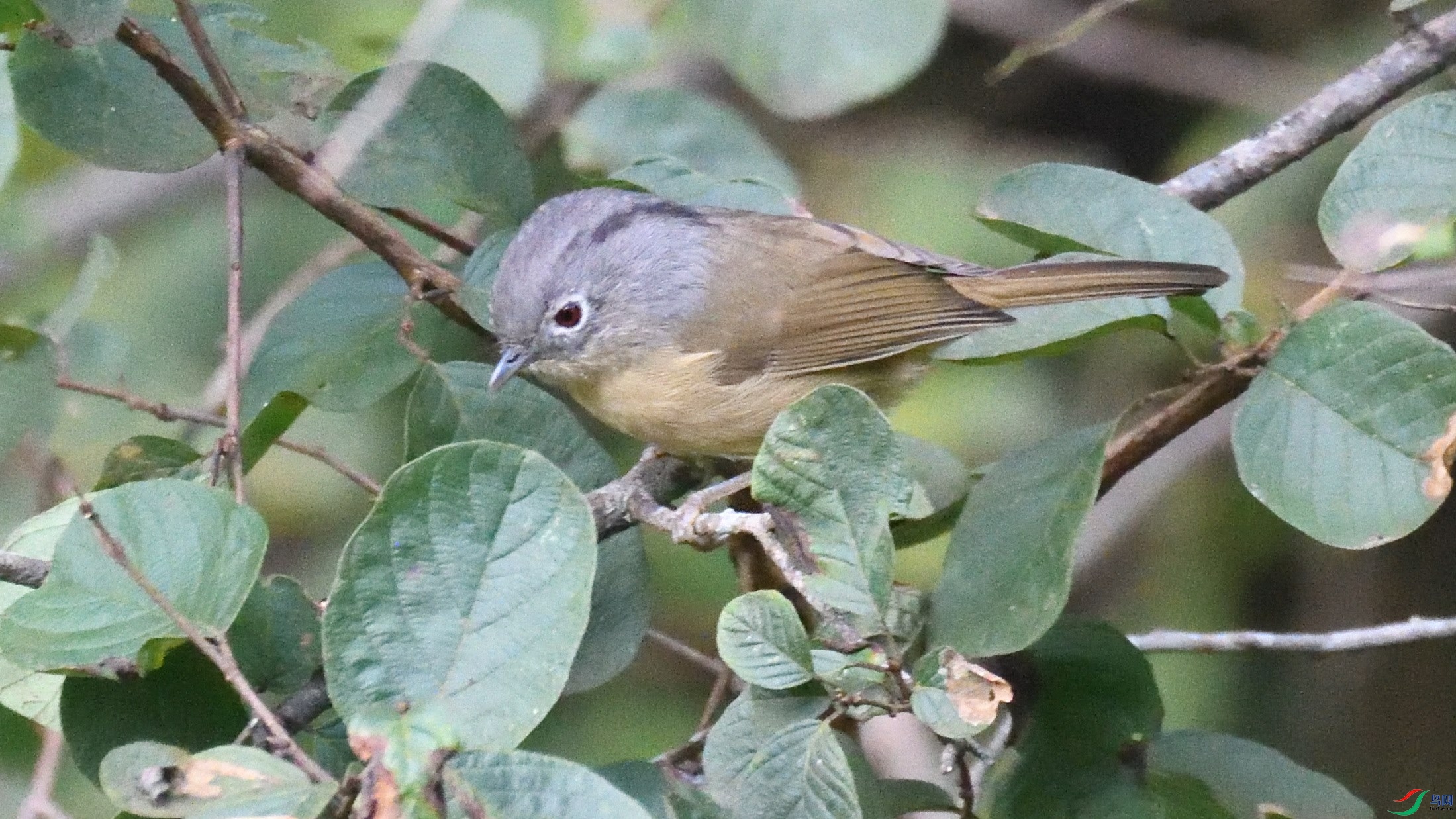DSC_73072.JPG