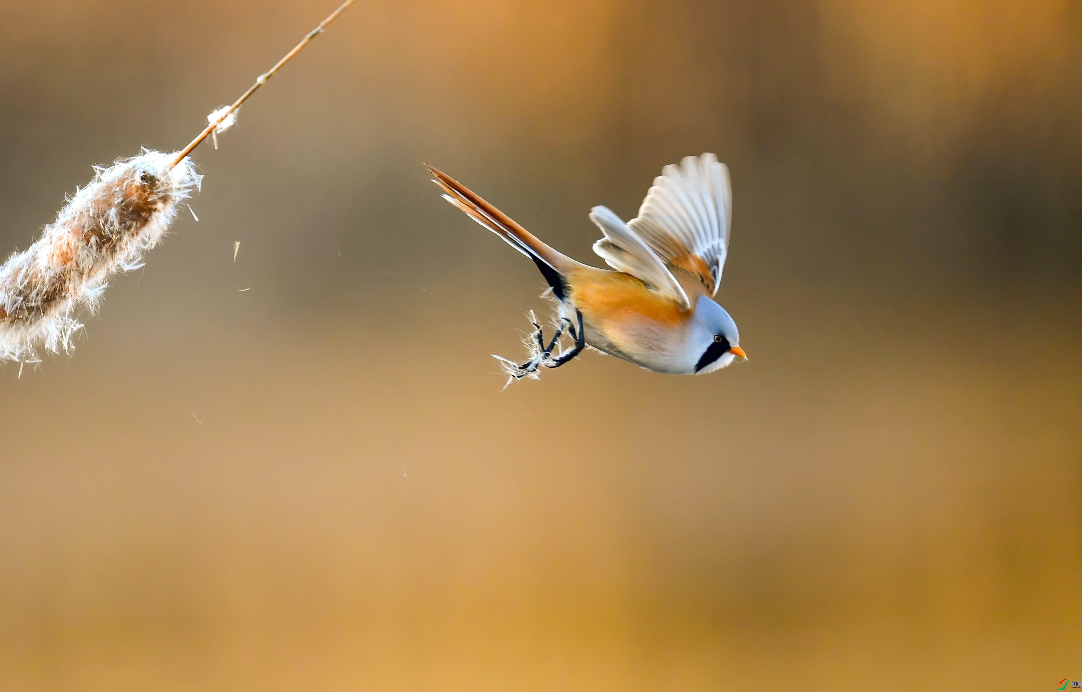 WZL_0259.jpg