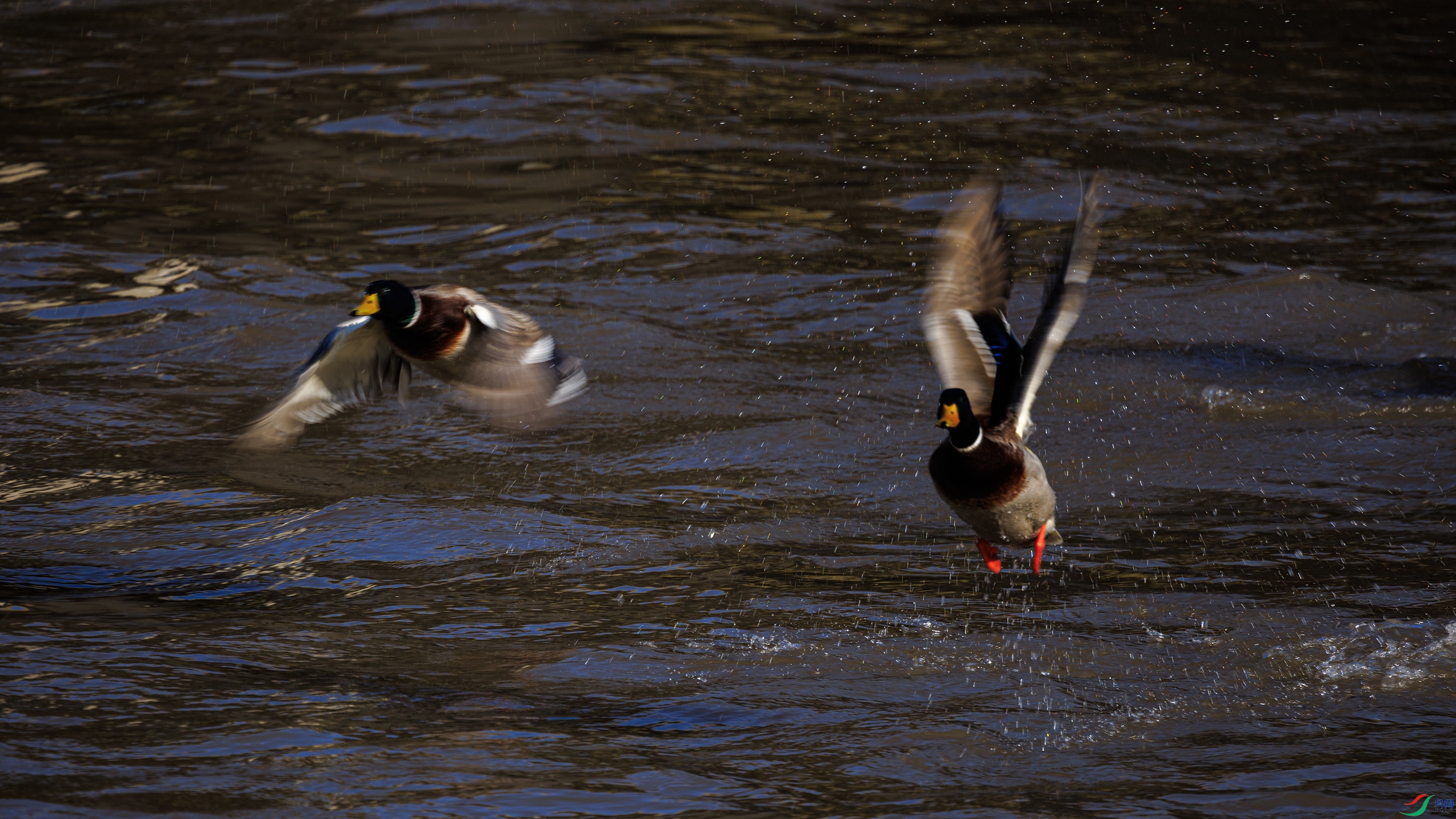 7X5A5220 ����7777.jpg