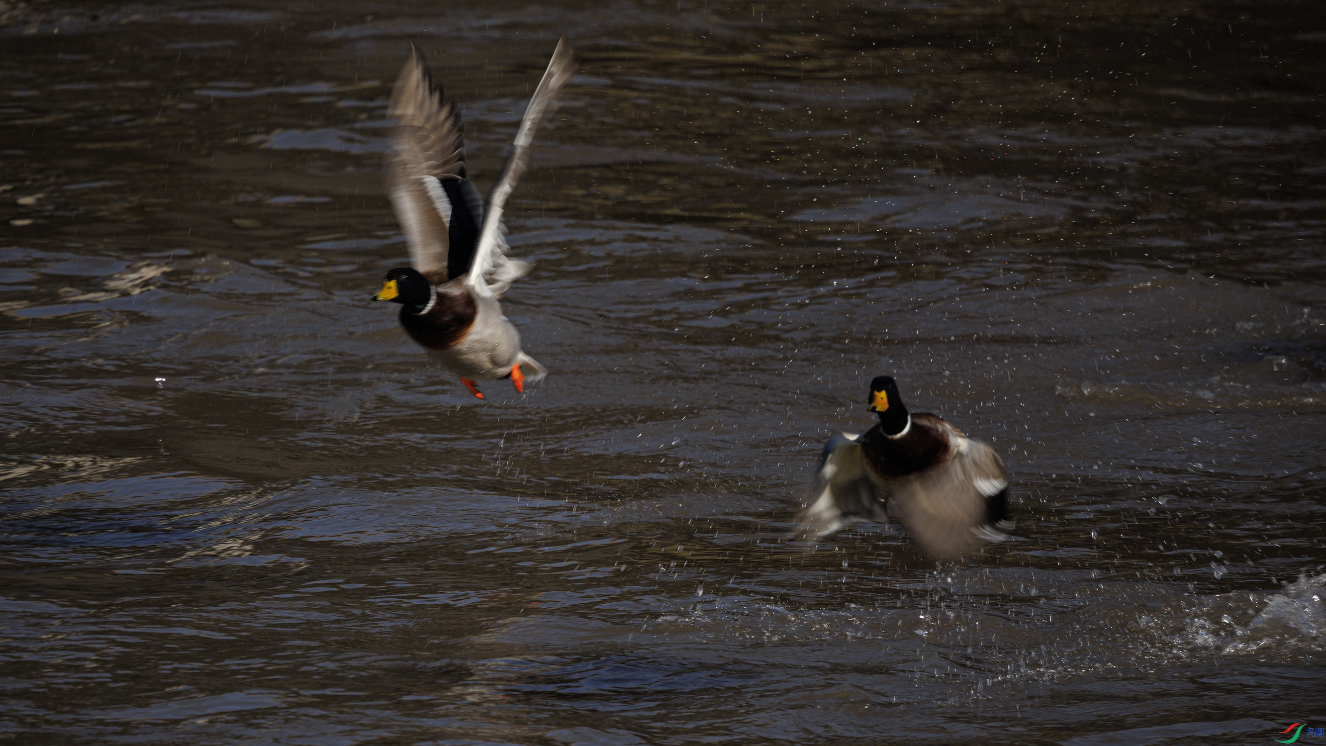 7X5A5218 ����2222.jpg