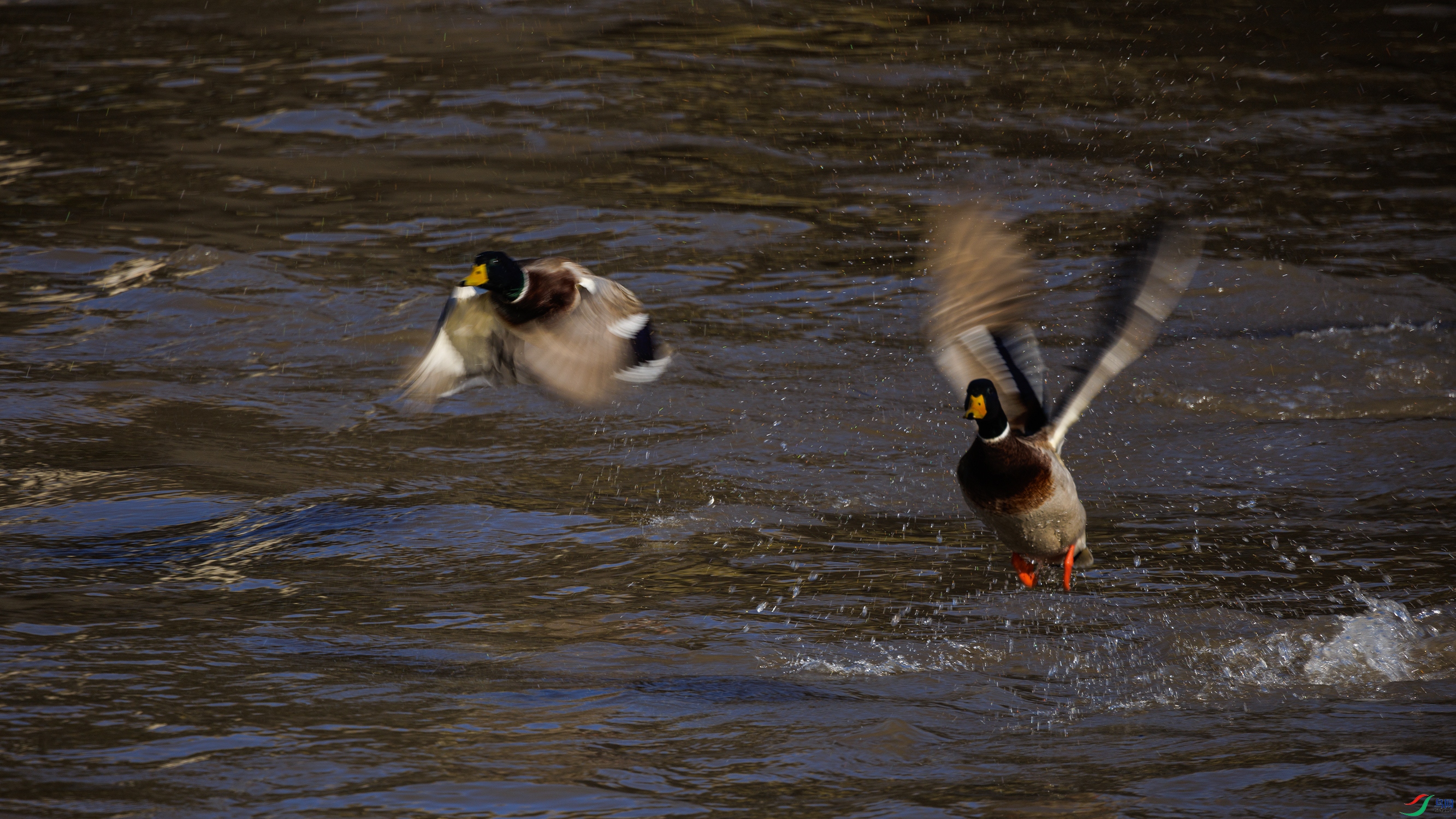 7X5A5216 ����77777.jpg