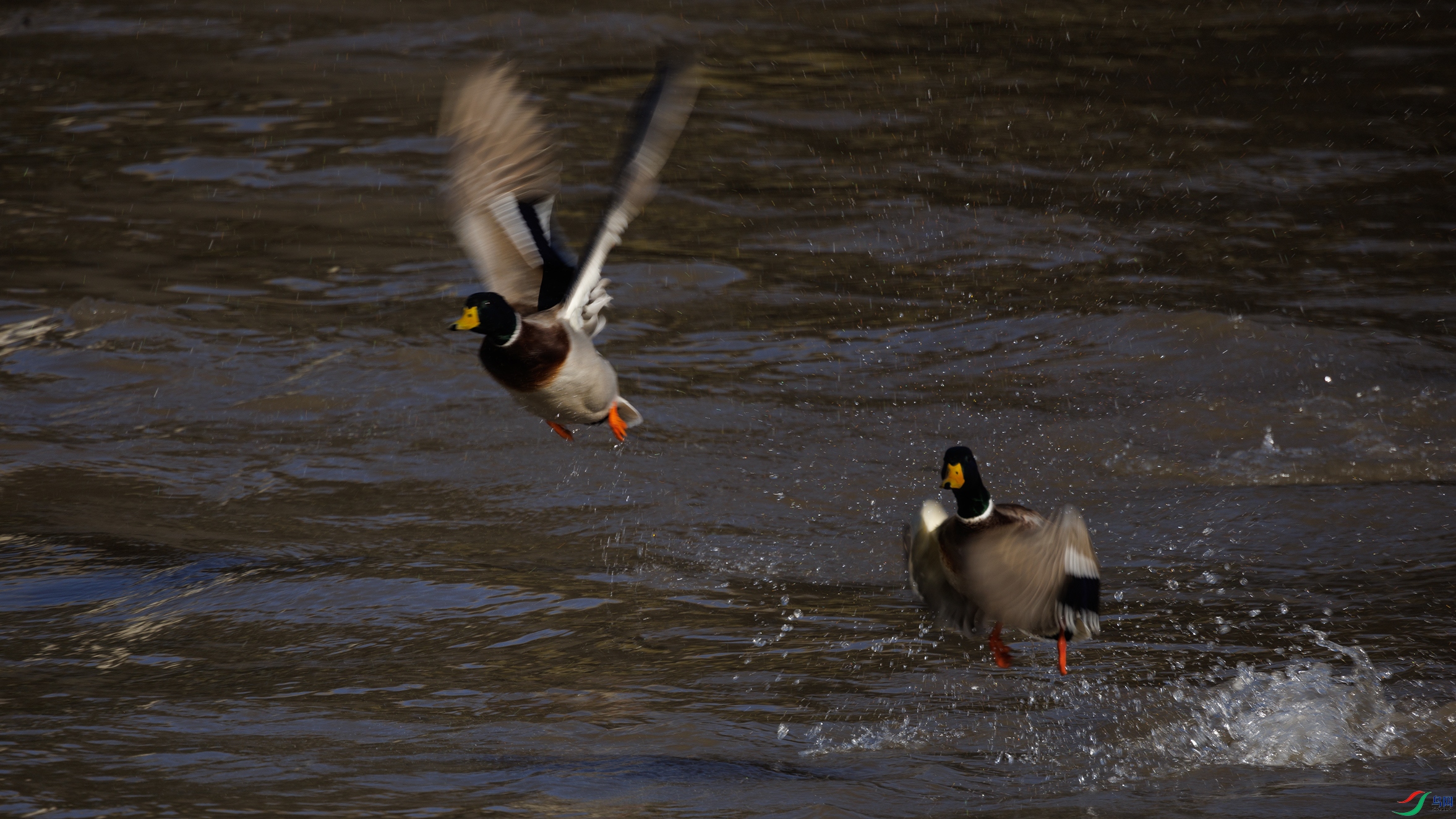 7X5A5214 ����7777.jpg