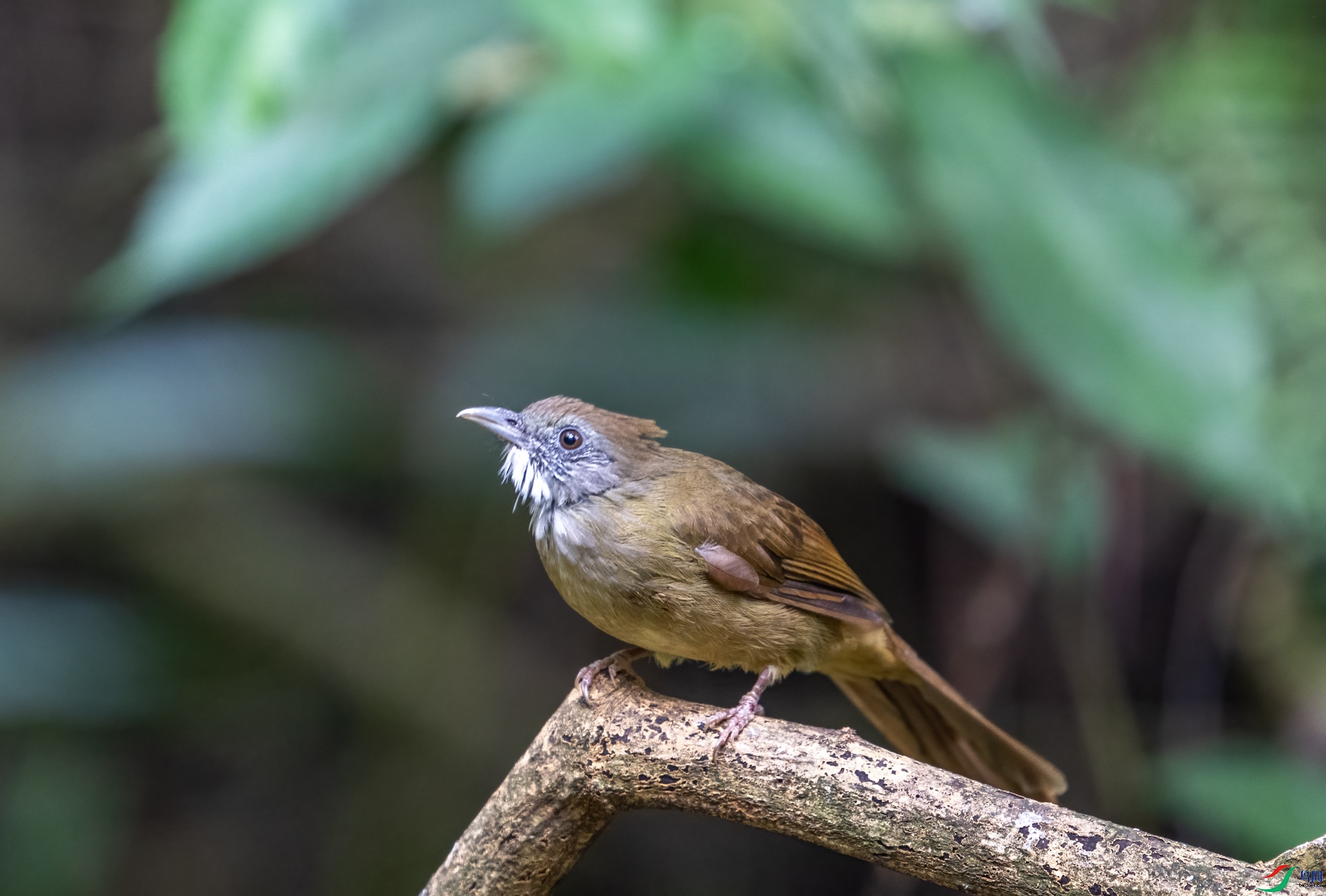DSC_0082.jpg