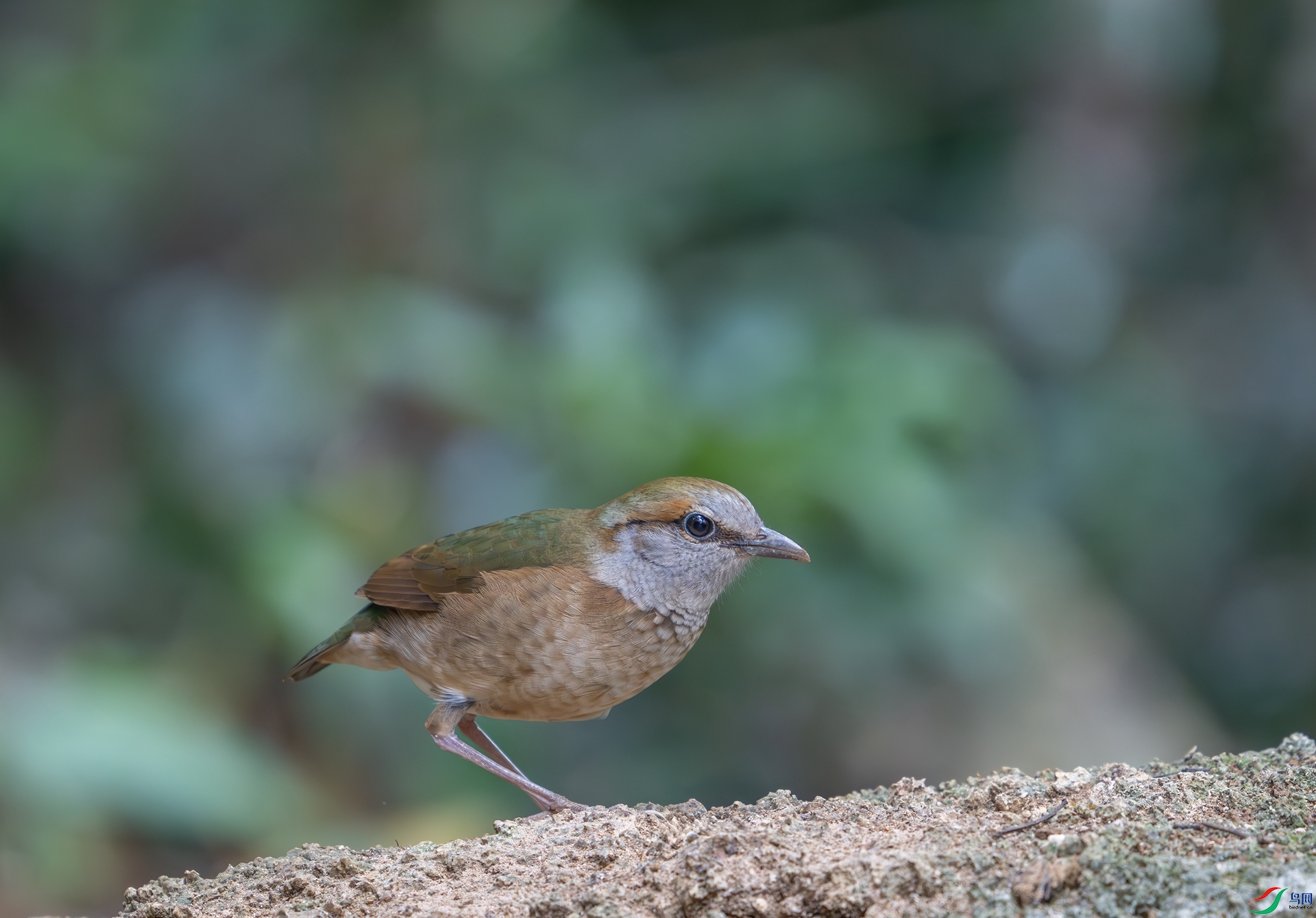 DSC_9455.jpg