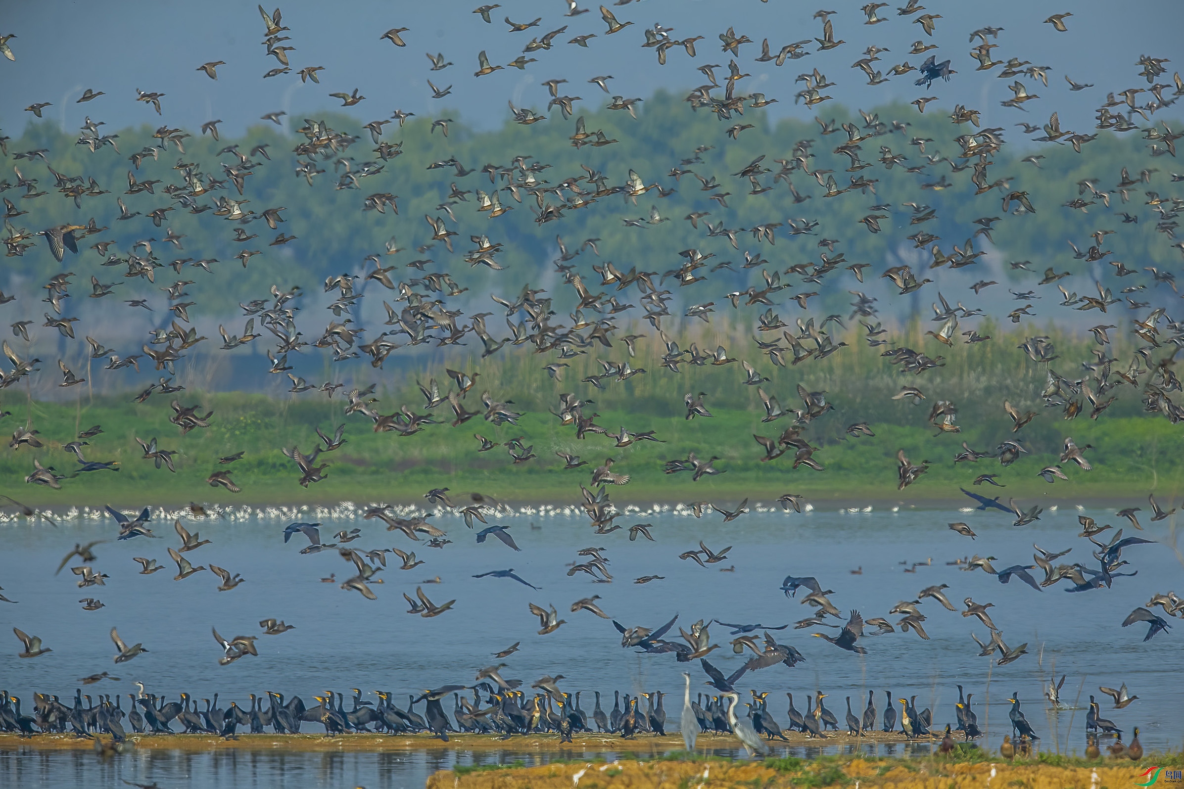 AE1V9733 ���� 2.jpg