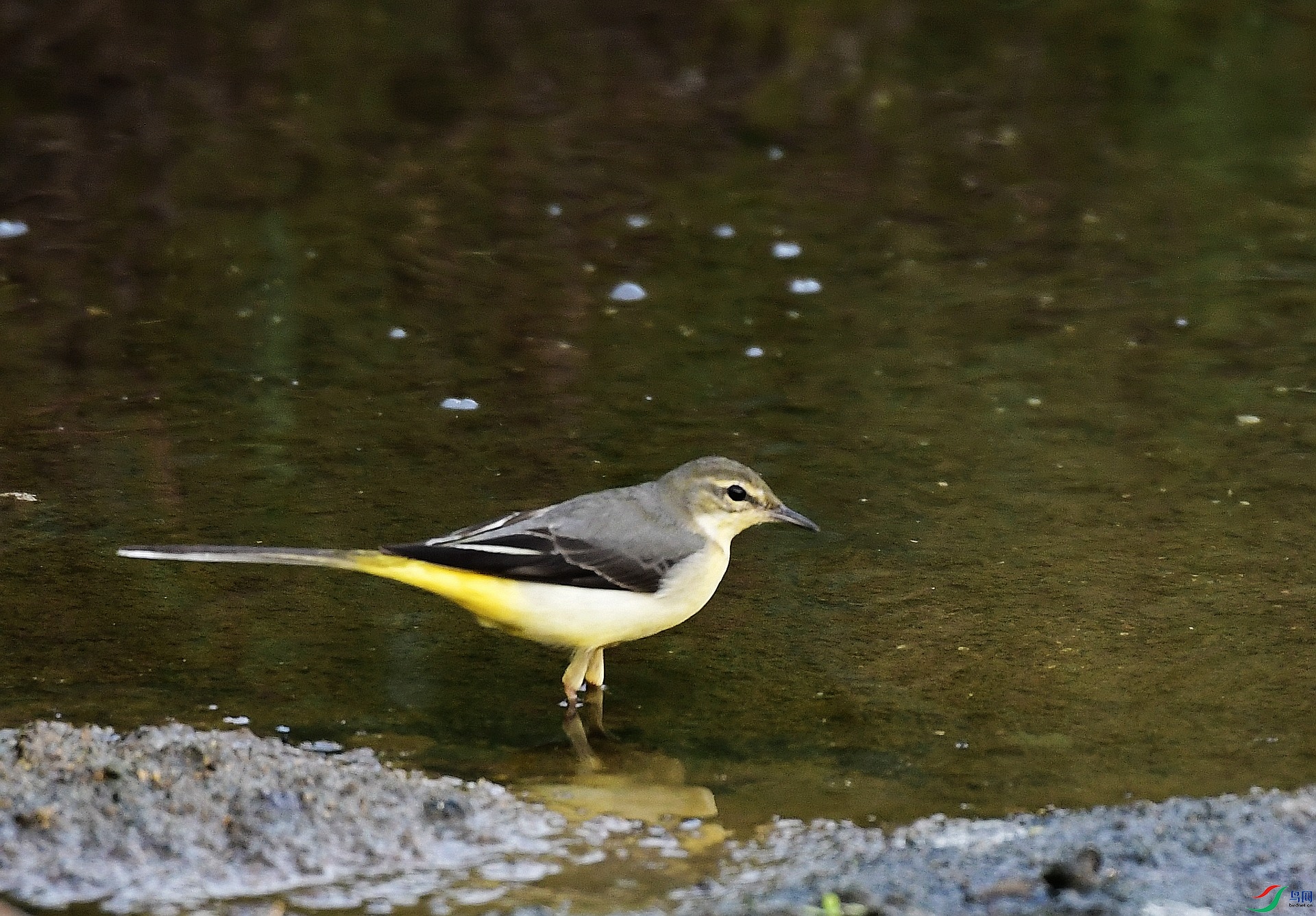 _D5D3037.jpg