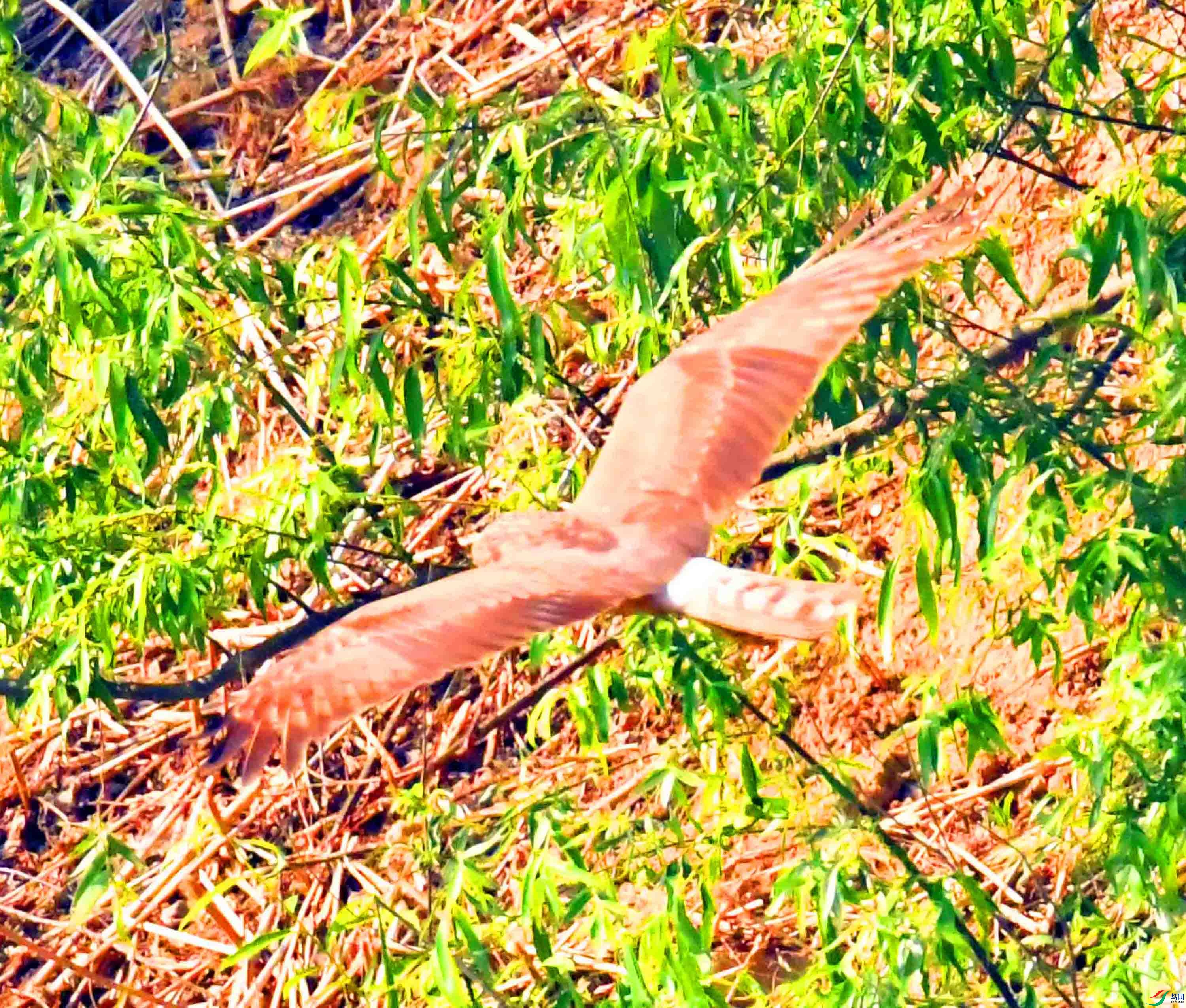 DSC_5853.JPG
