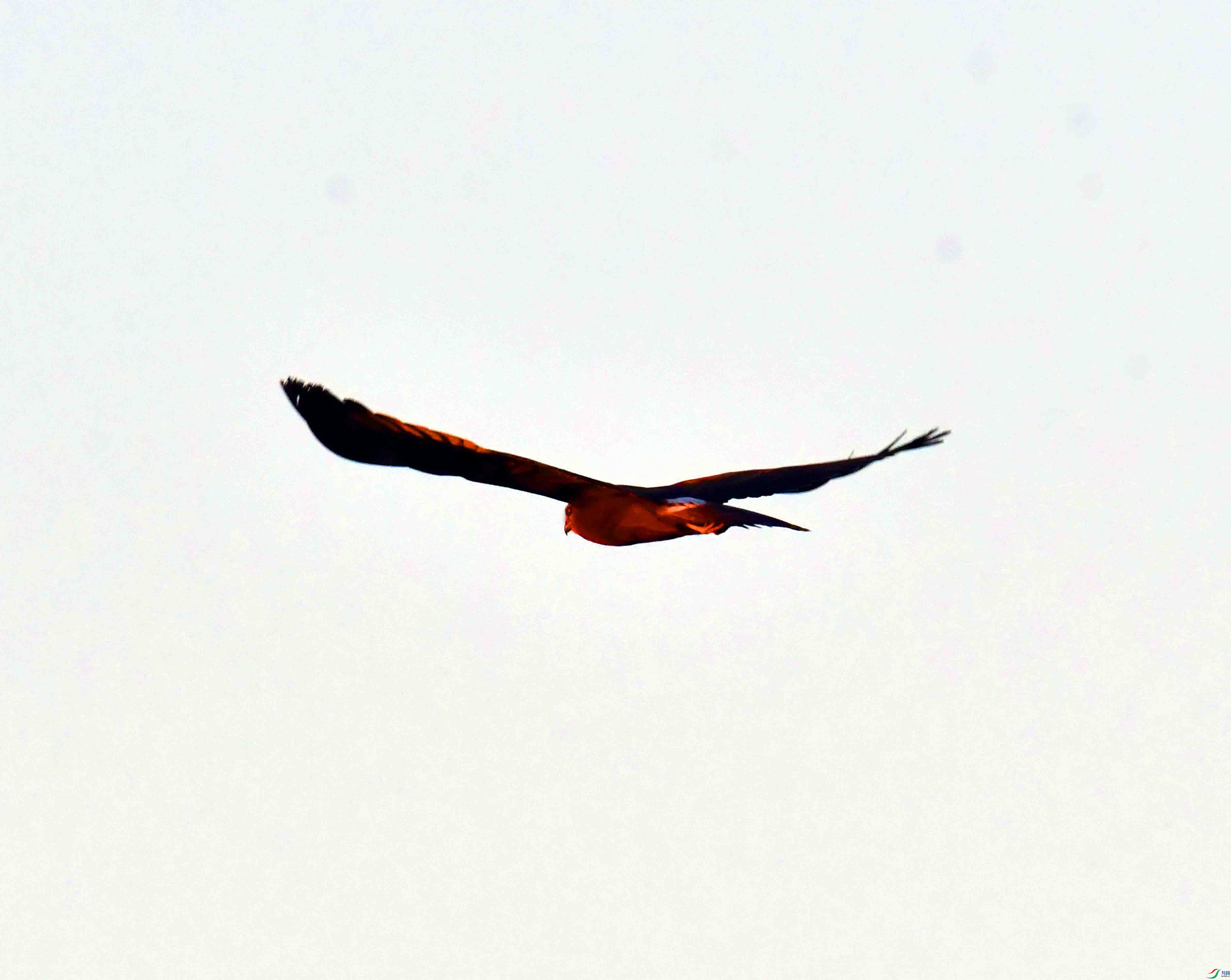 DSC_8751.JPG