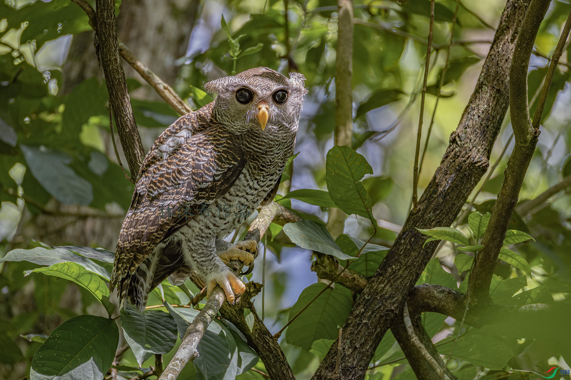 _97A7874-CR3 copy.jpg