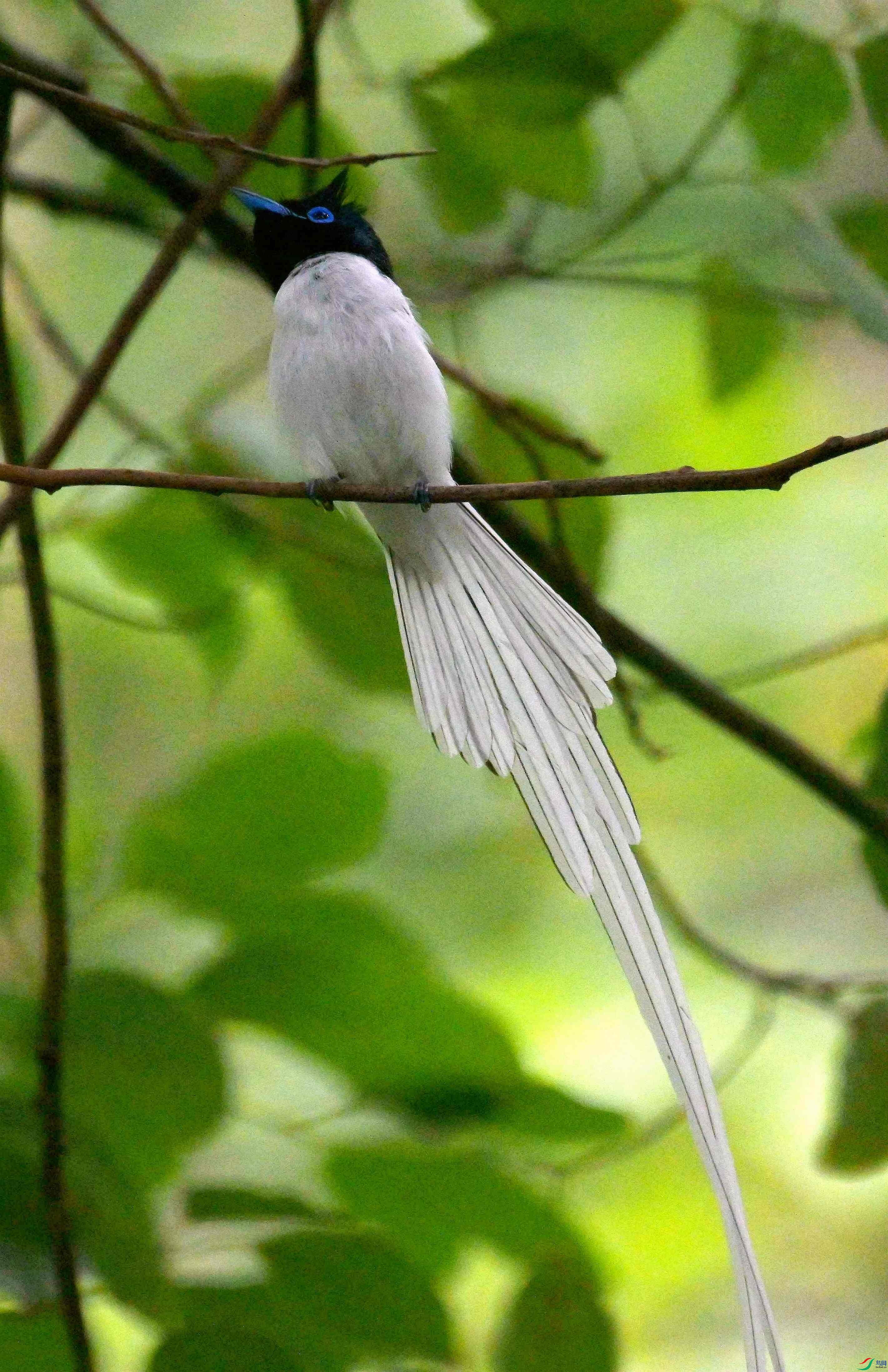 DSC_9495.jpg