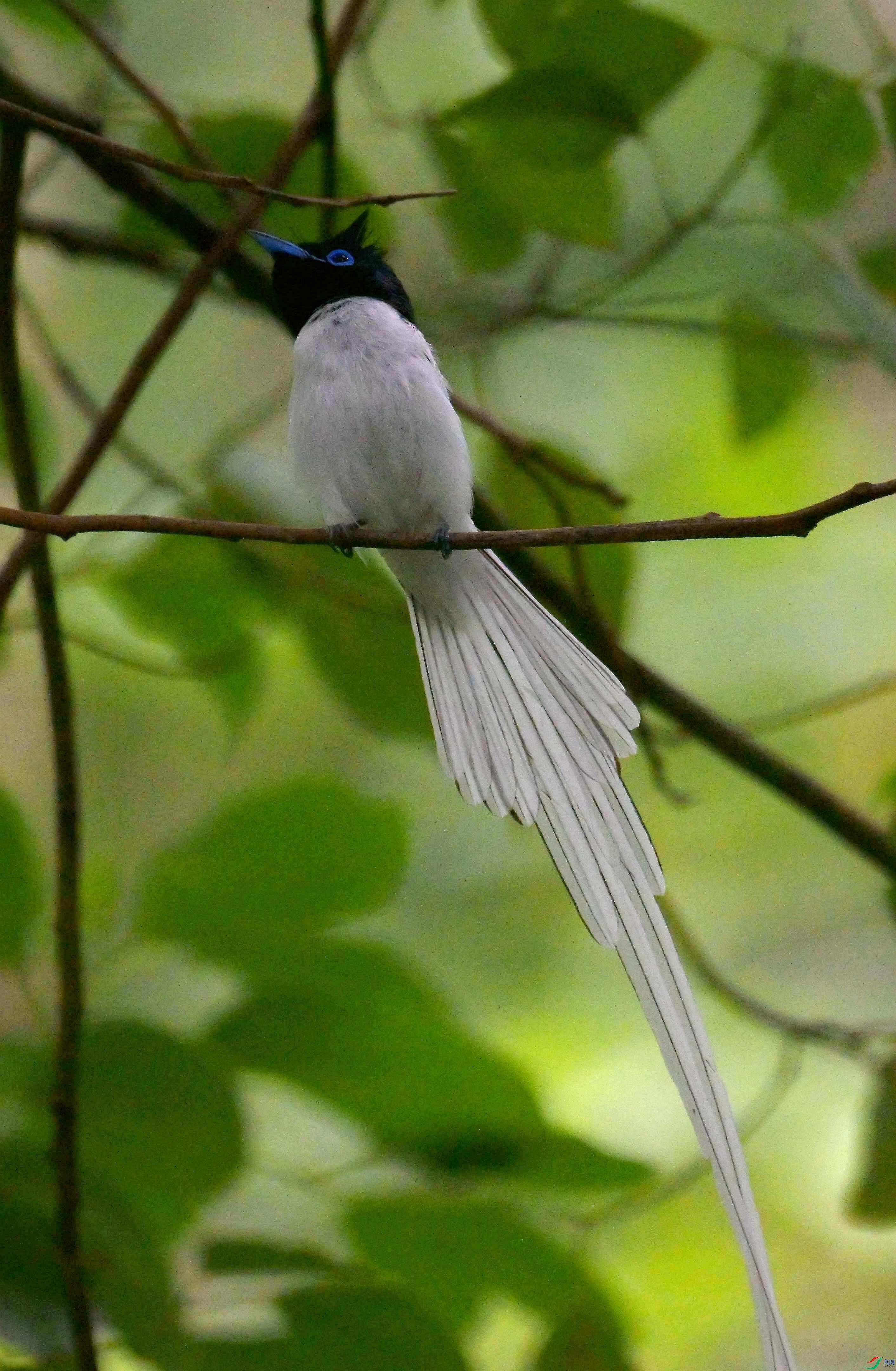 DSC_9498.jpg