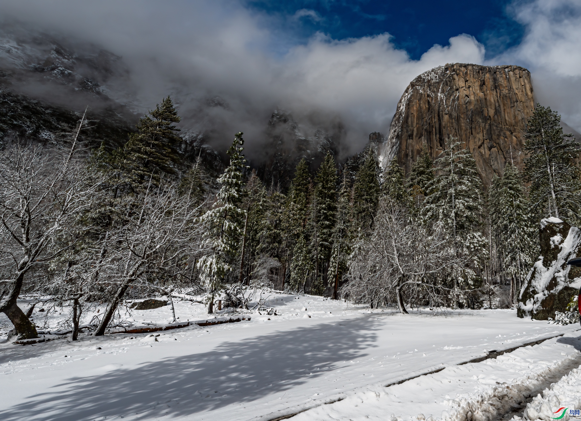 _DSC9000-1.jpg