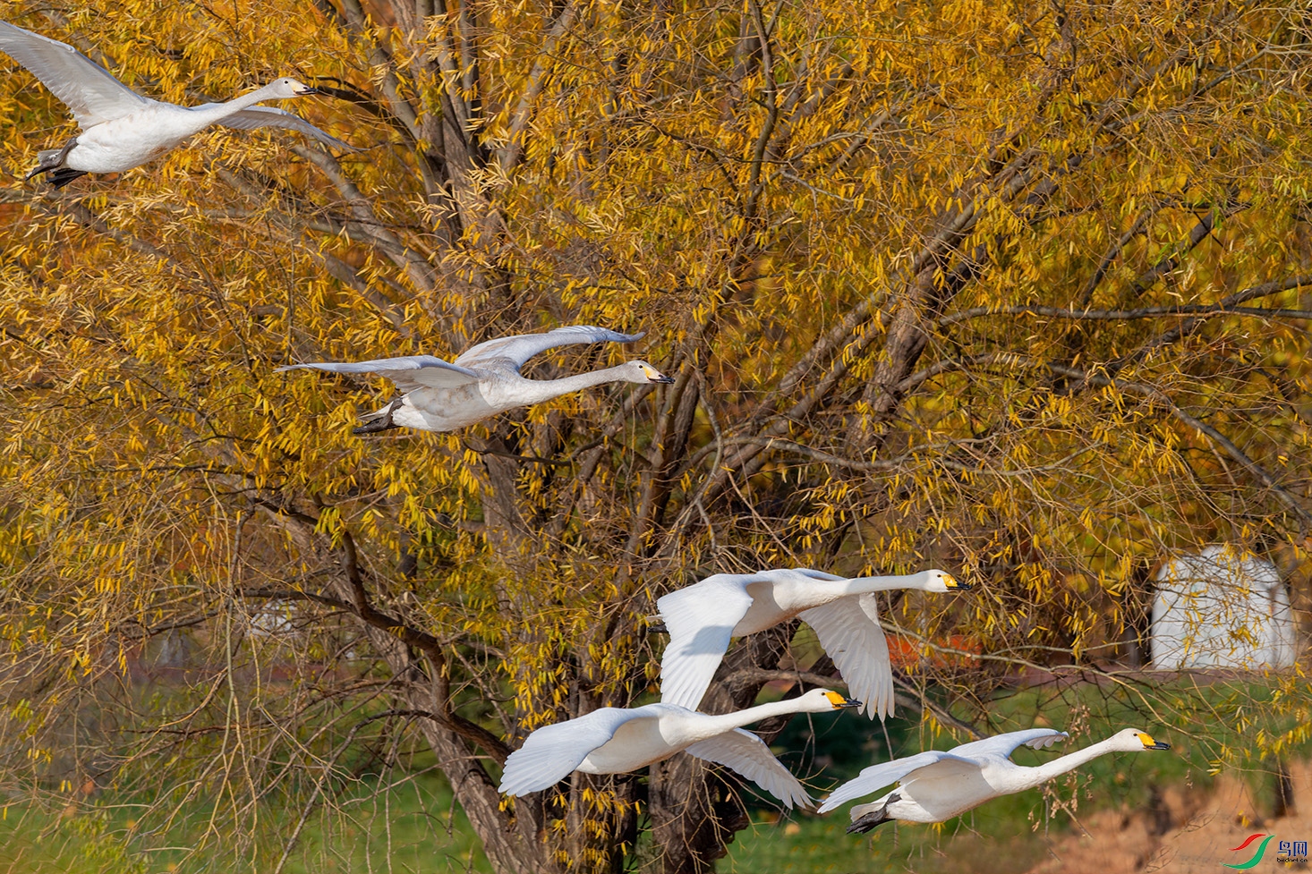 DSC_4041_DxOa.jpg