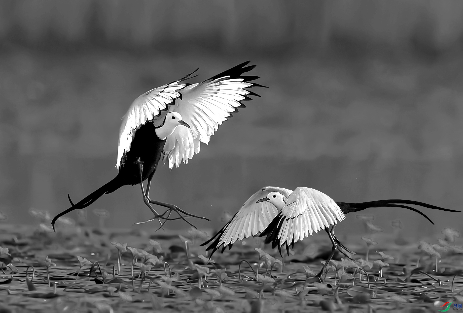 A56I9097 ����.jpg