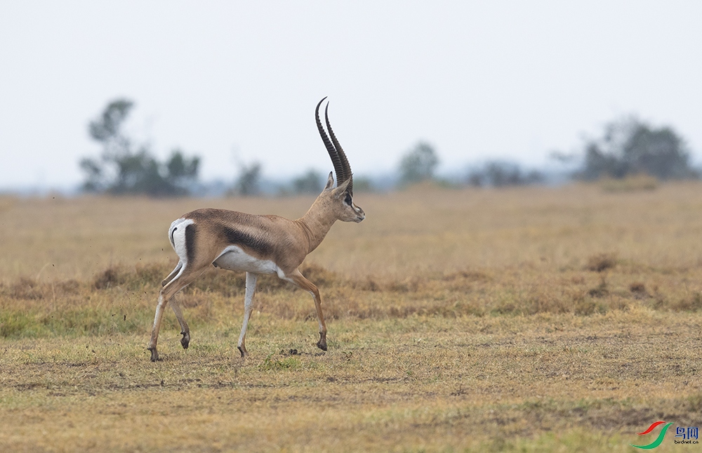 ���� (9).jpg