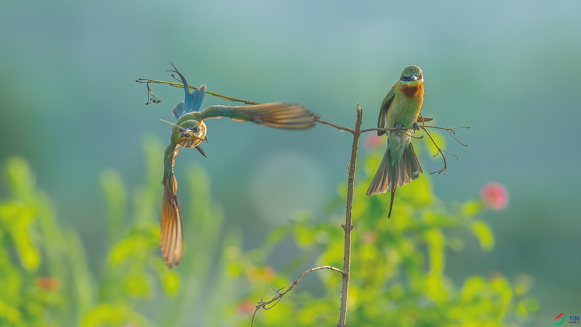 DSC_7886-����ǿ-NR.jpg