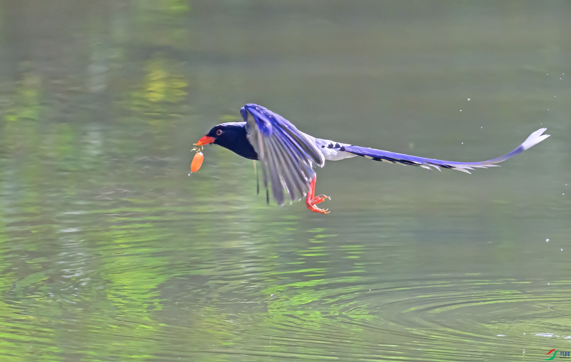 LJH_4744.jpg