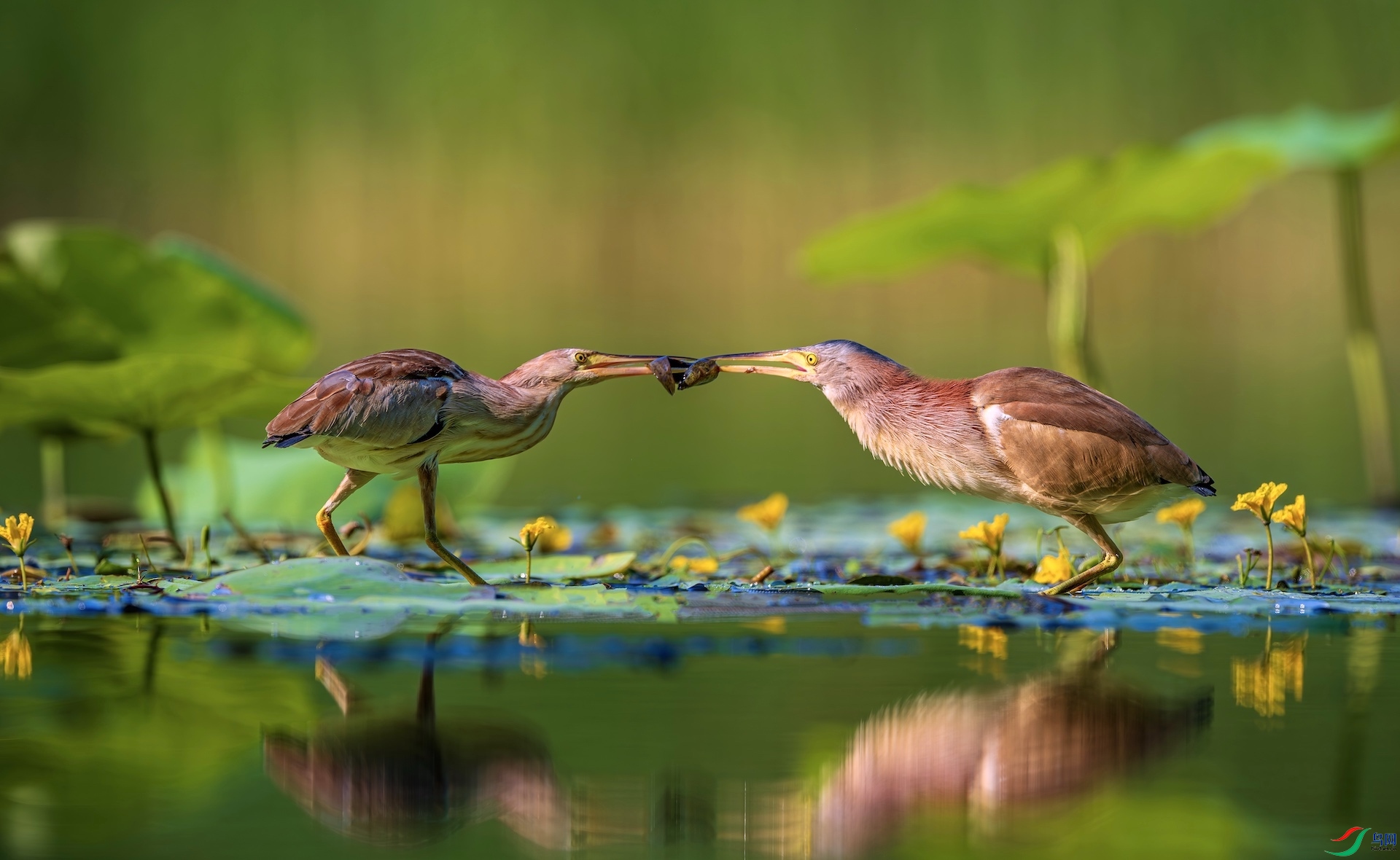 1_DSC5067-����ǿ-NR ���� 2.jpeg