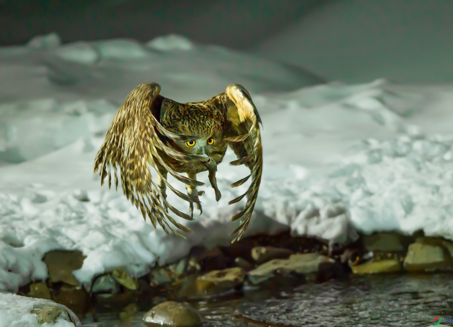 ��3258DSC_8255.jpg