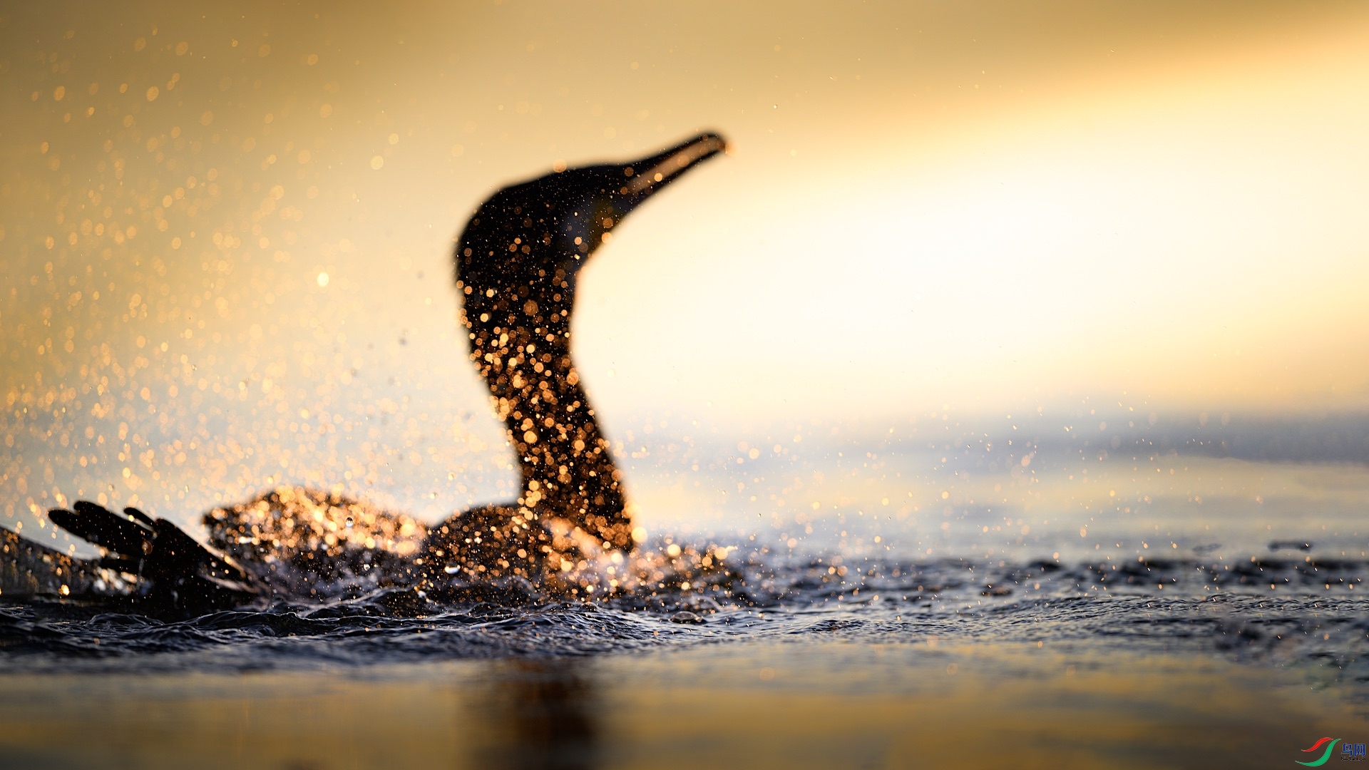 1_DSC1034 ����.jpeg