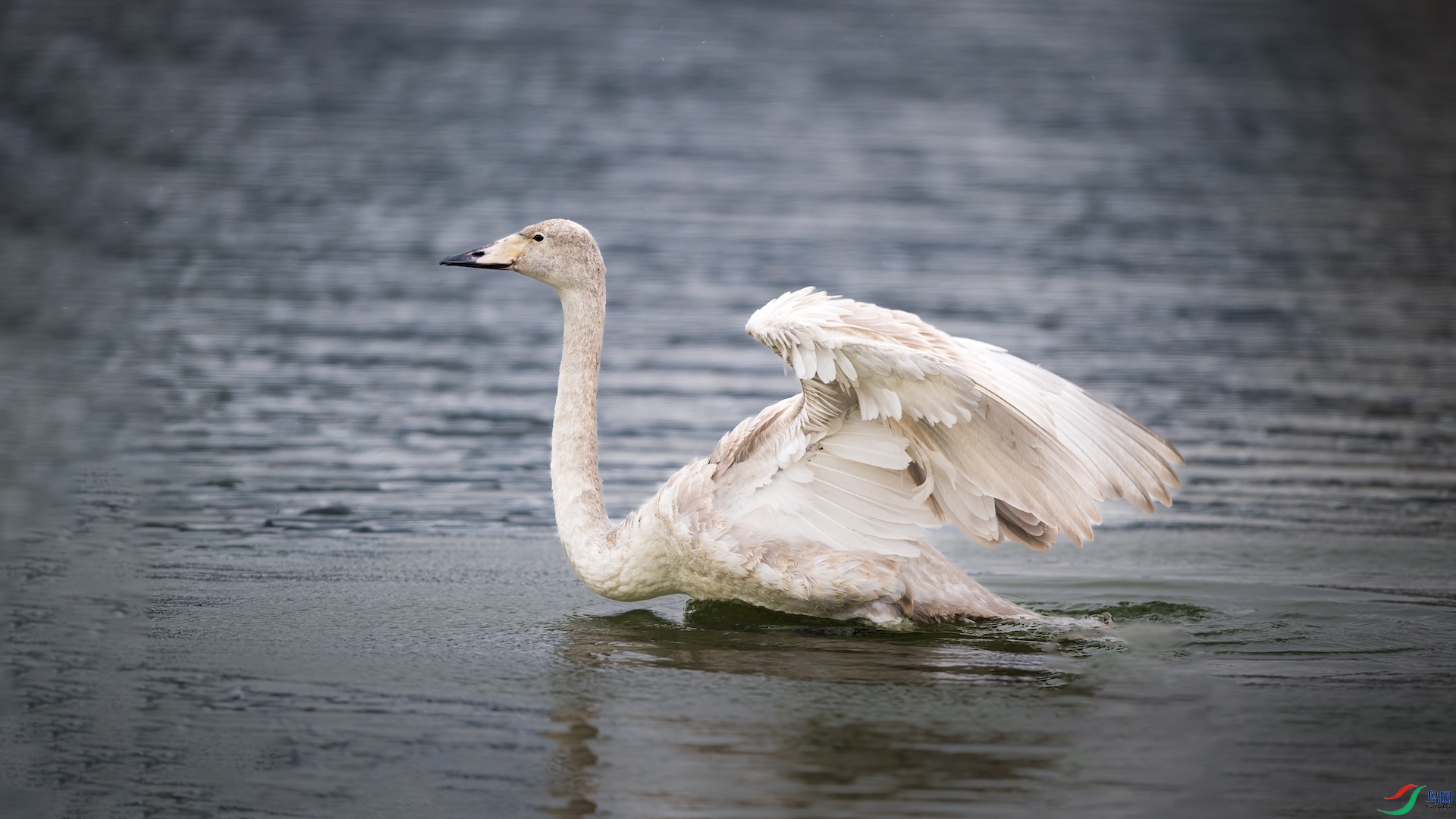 1_DSC4059 ����.jpeg