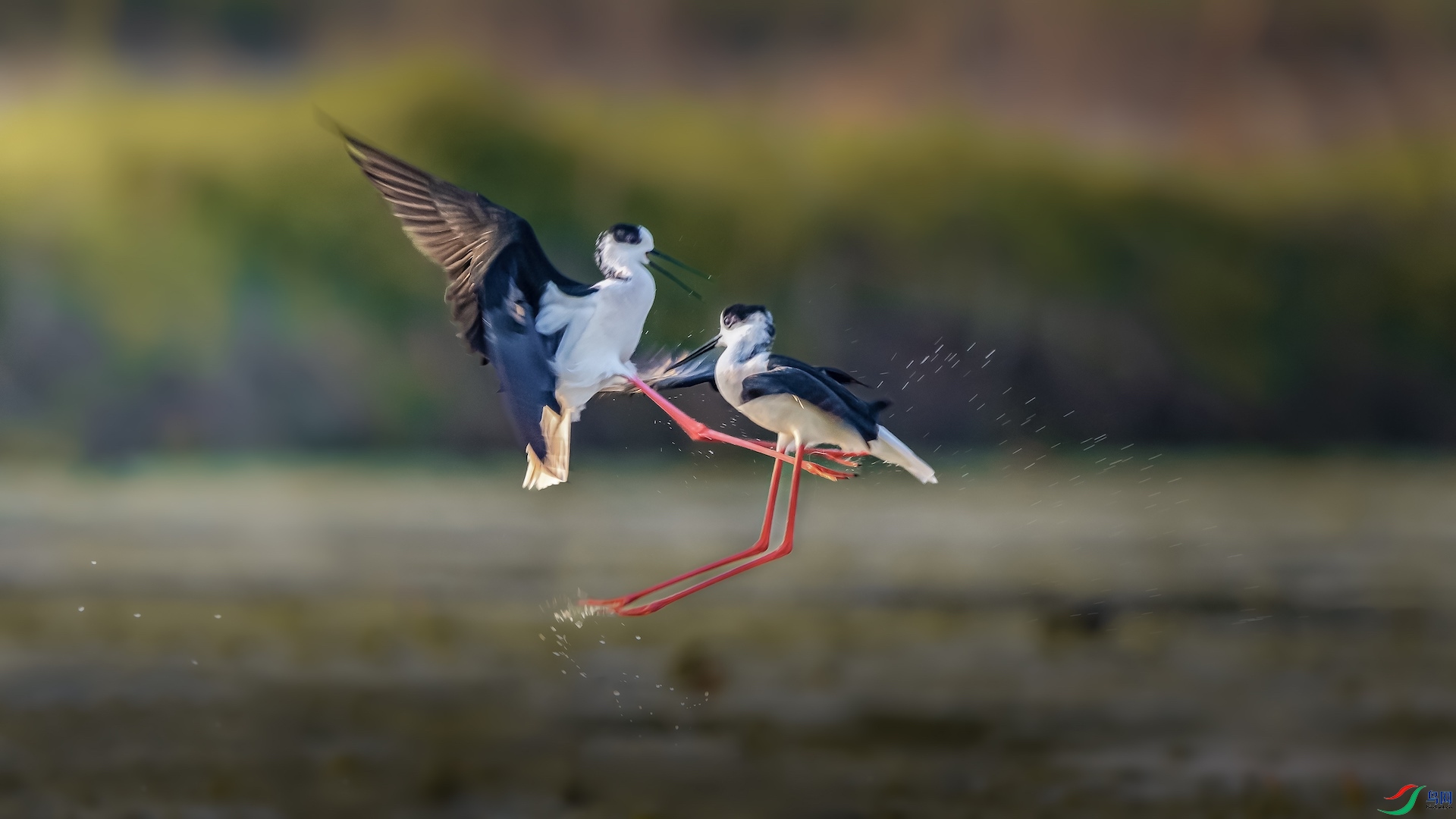 1_XXI0640 ����.jpeg