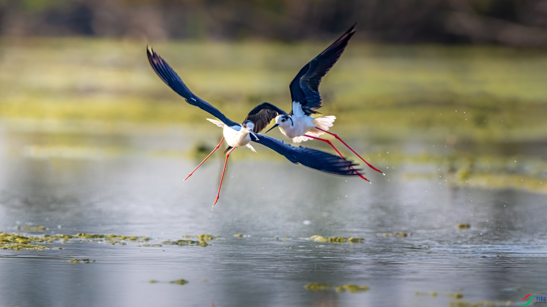 1_XXI1340 ����.jpeg