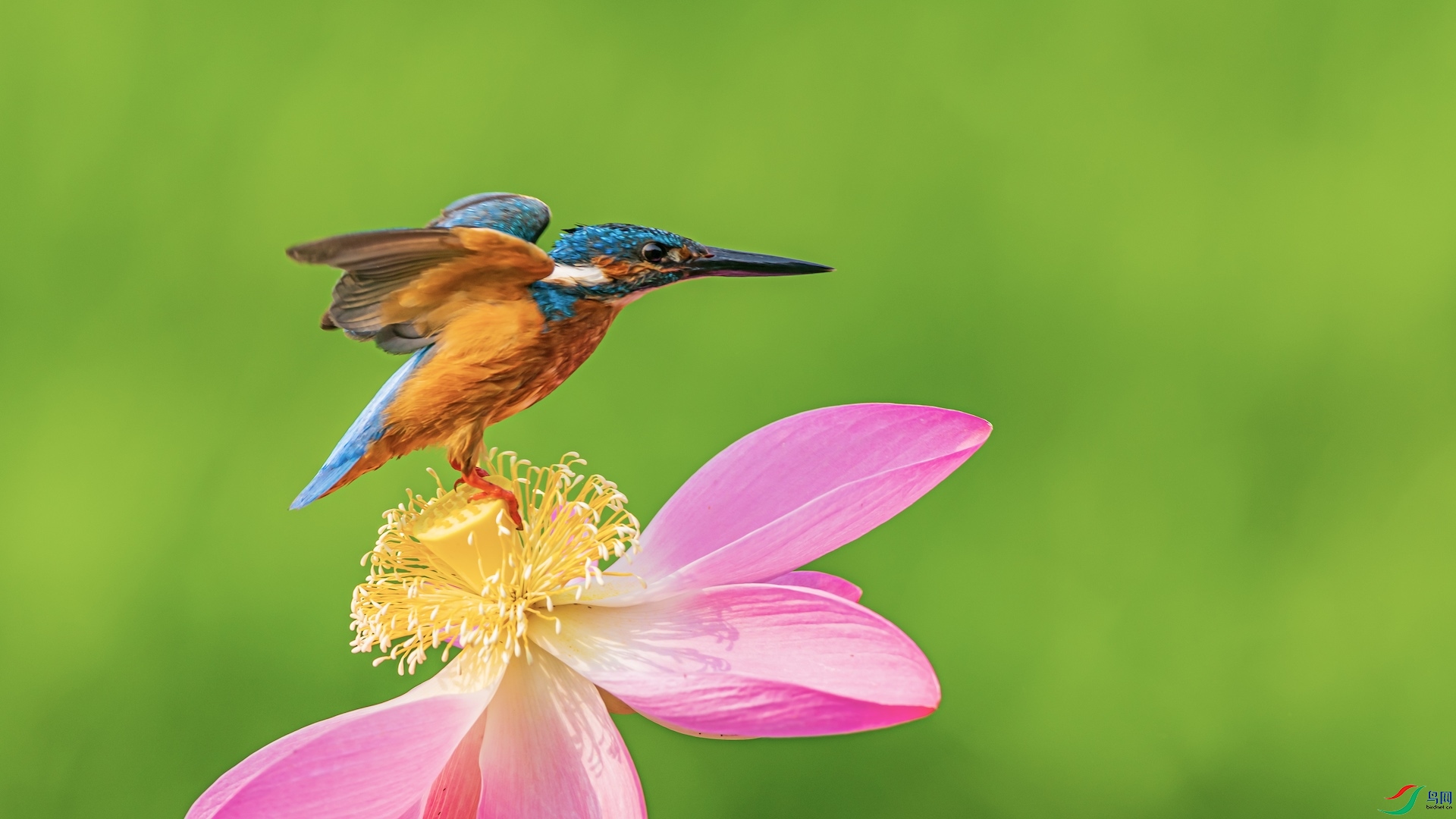 1_XXI6150-1 ����.jpeg