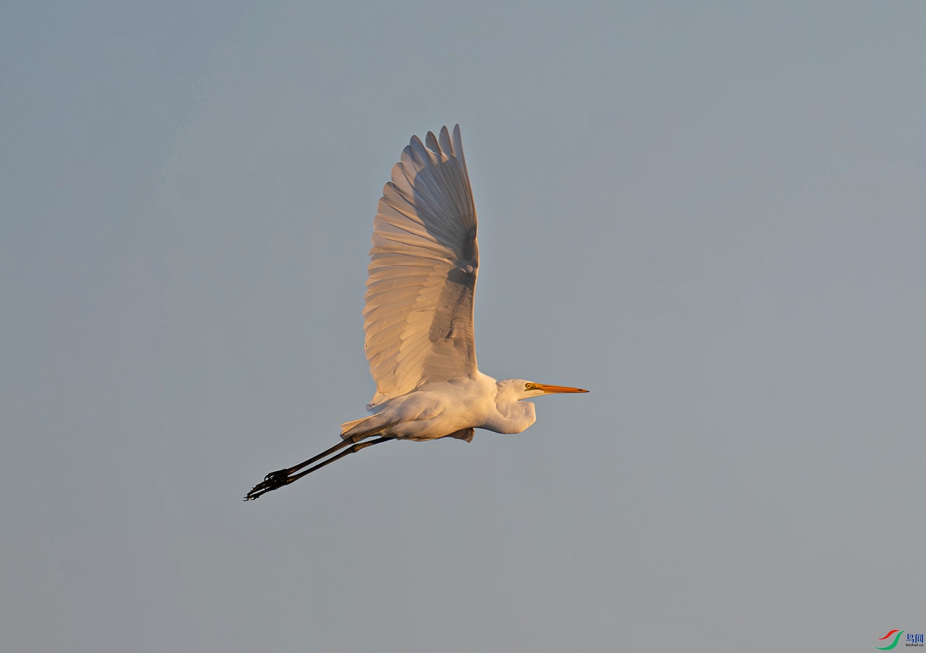 _DSC5998f.jpg