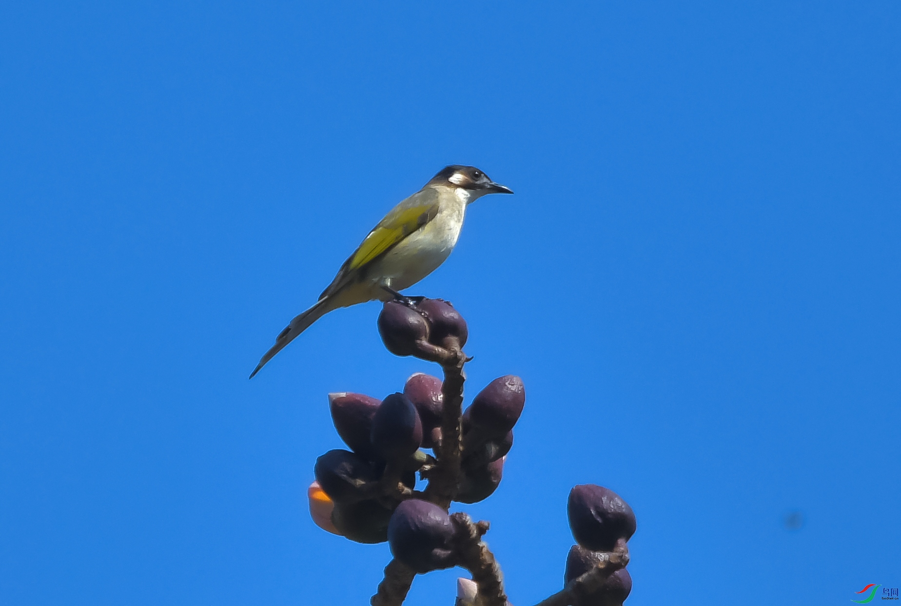 DSC_5610.JPG