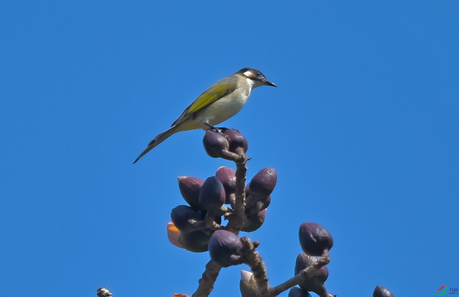 DSC_5611.JPG