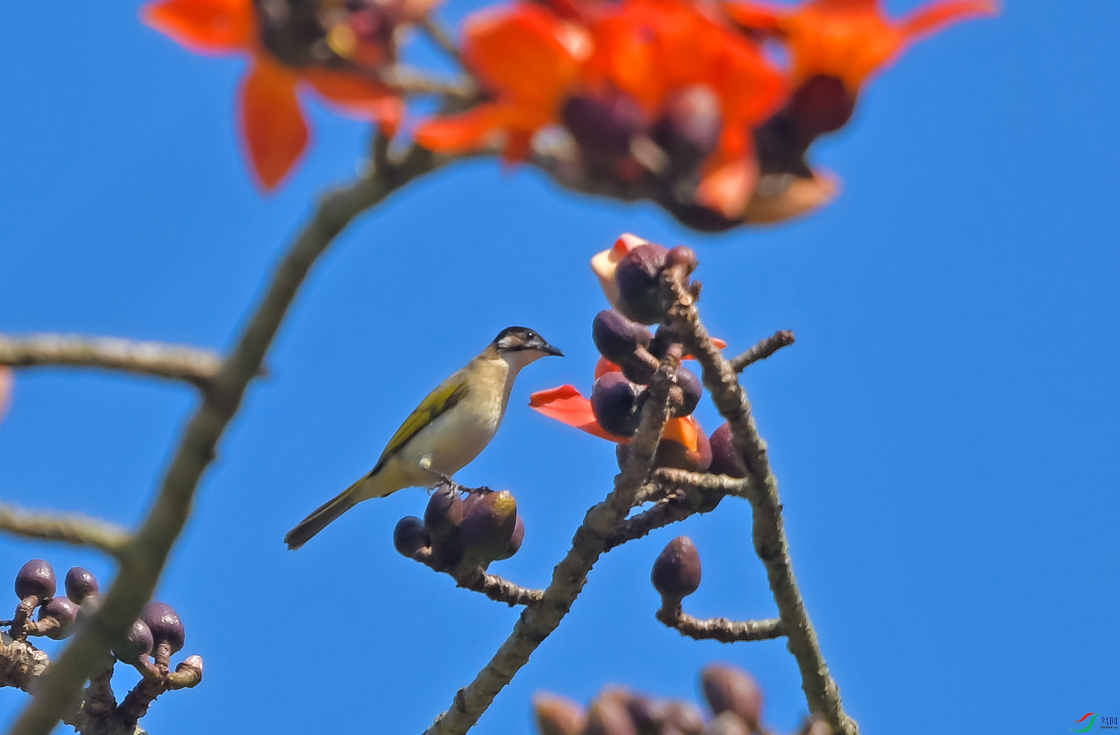 DSC_5619.JPG