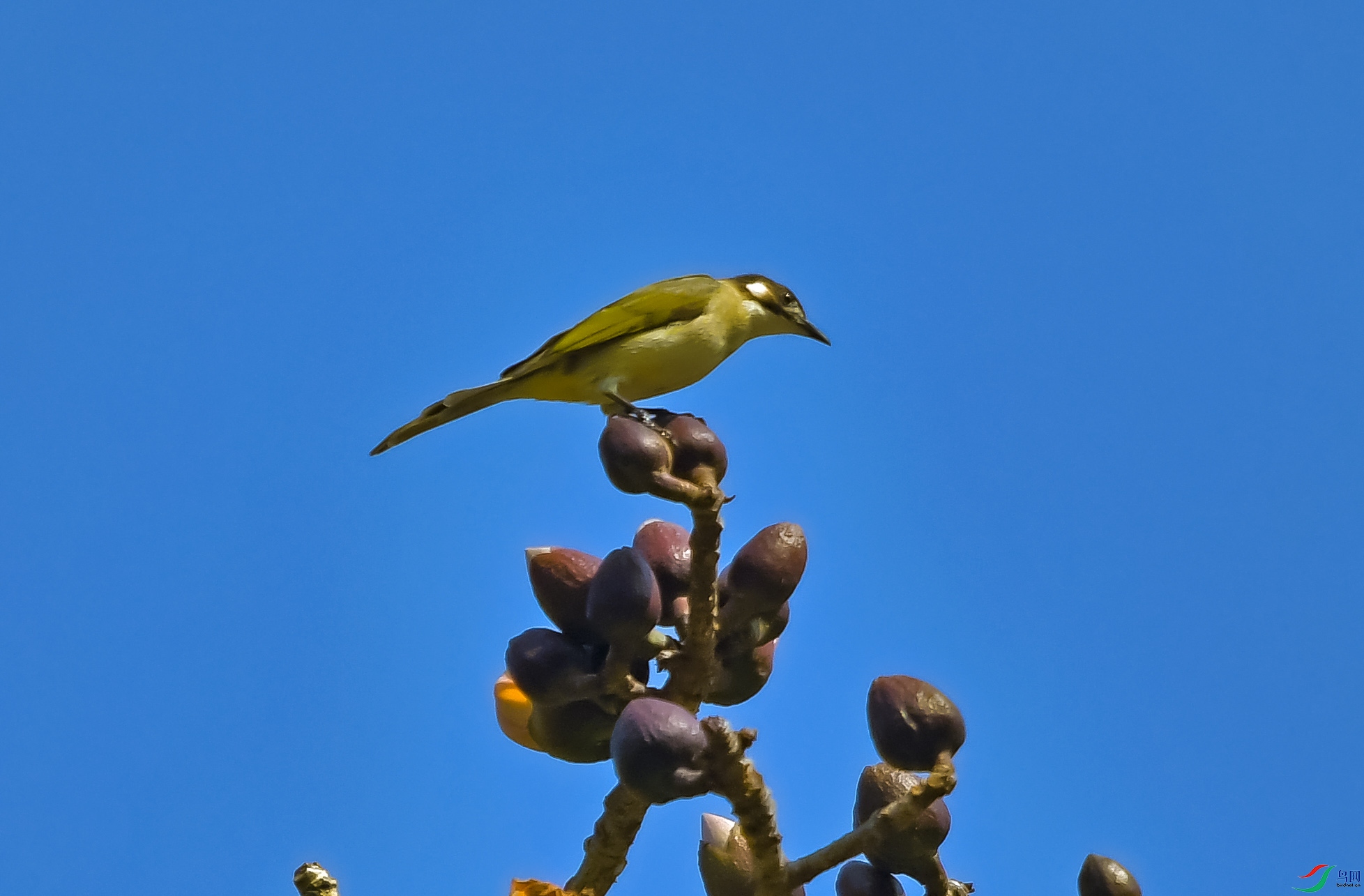 DSC_5612.JPG