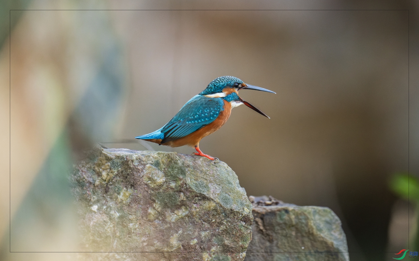 _DSC4075-NEF_DxO_DeepPRIME-1.jpg