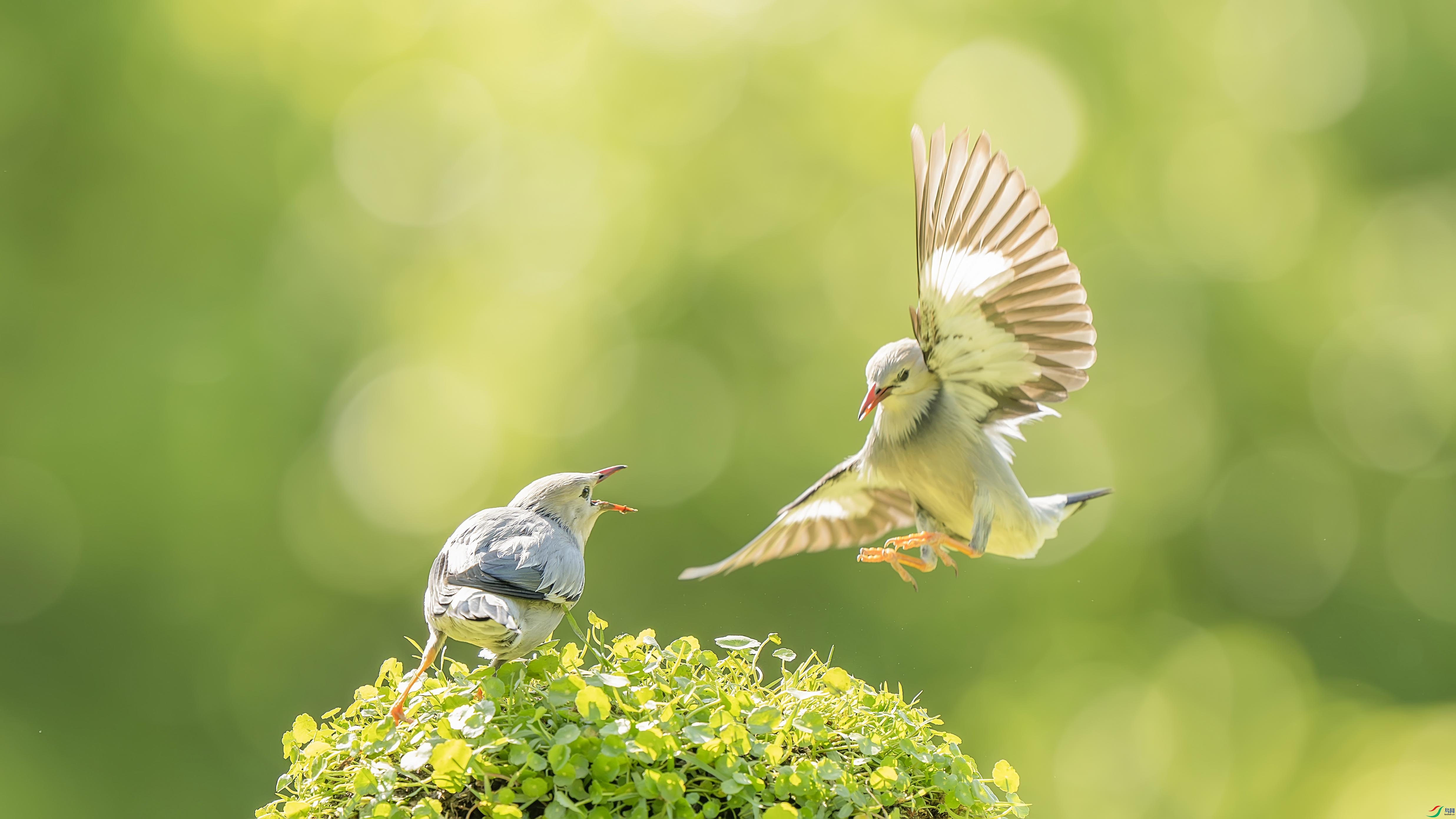 DSC_5774-����ǿ-NR ���� 2.jpg