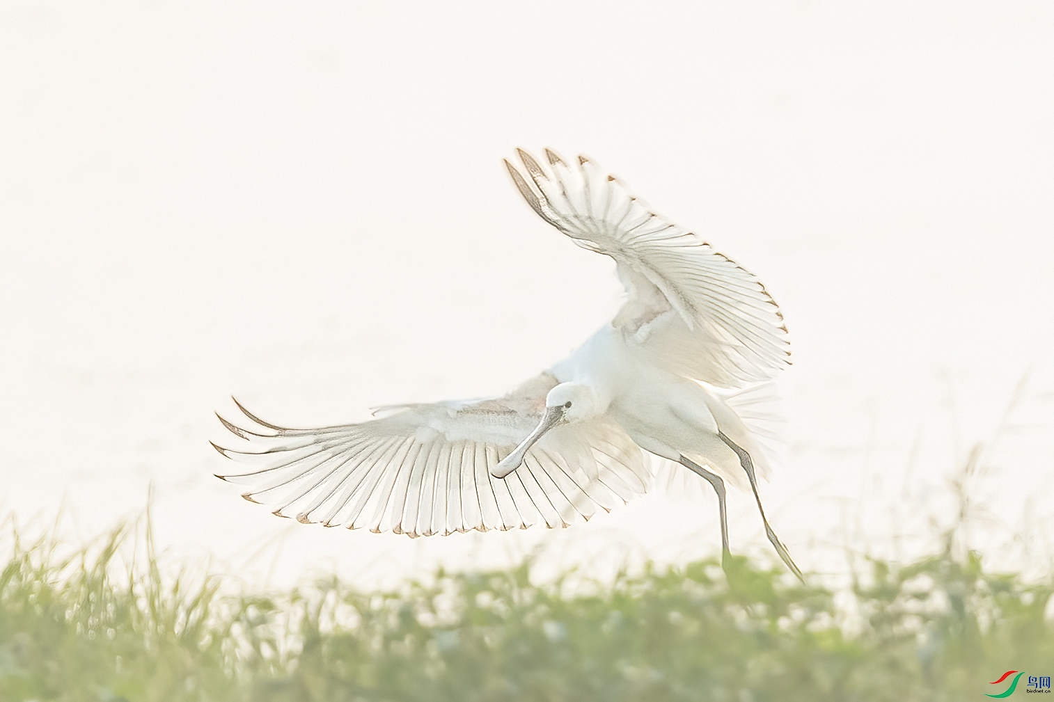 AE1V8072 ����.jpg