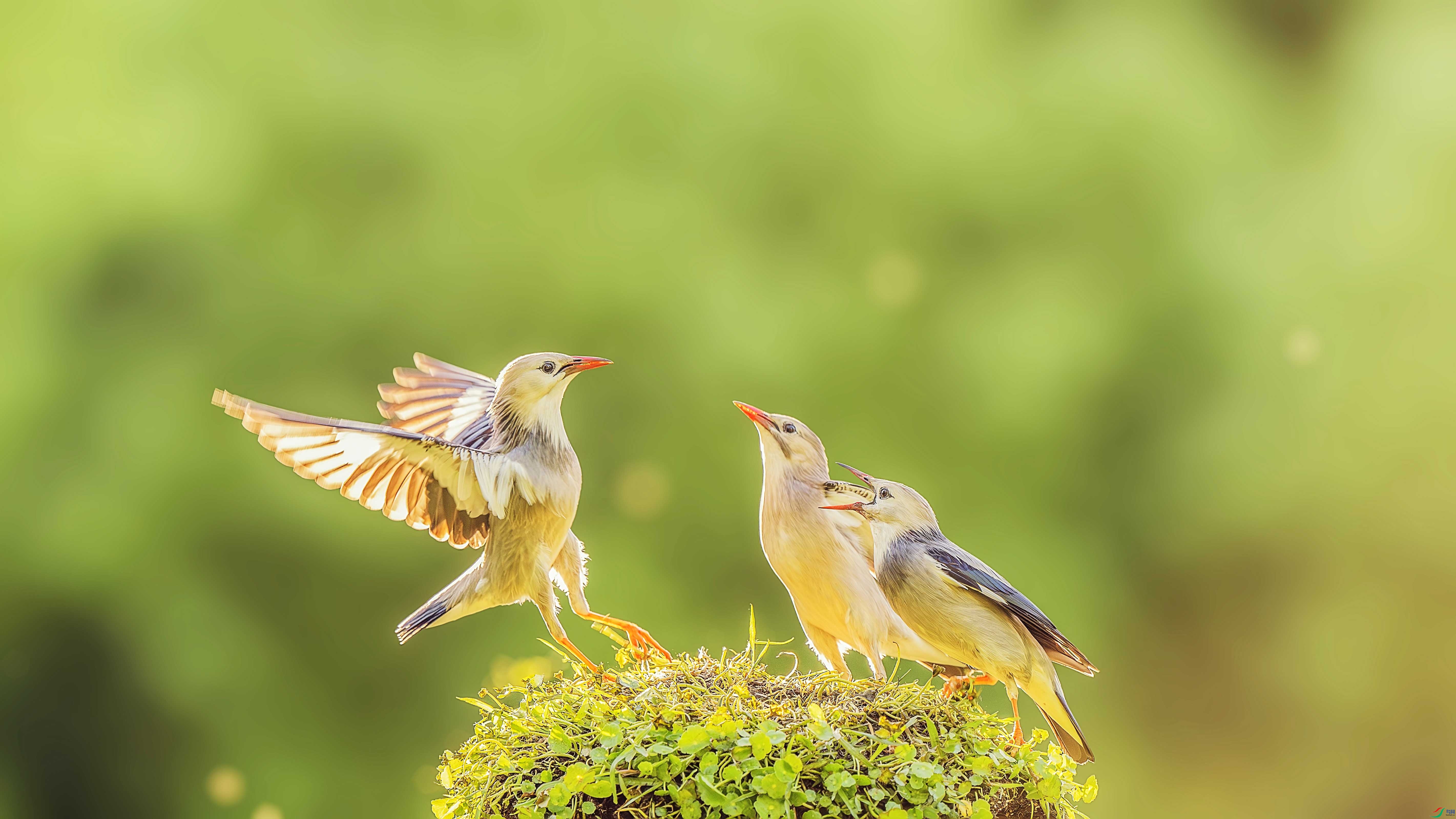 DSC_2648-����ǿ-NR ���� 3.jpg