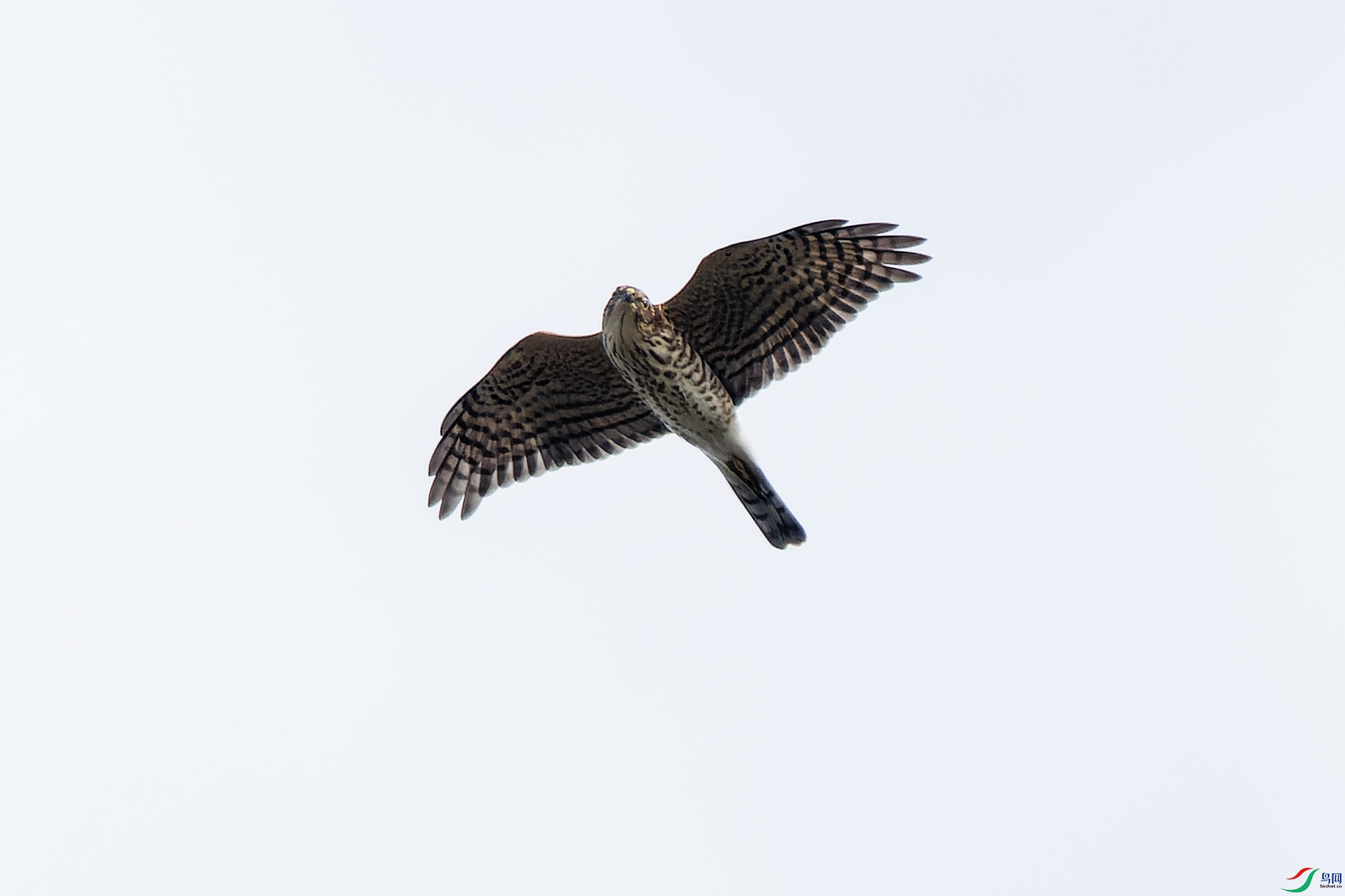2024101719-ORF-1.jpg