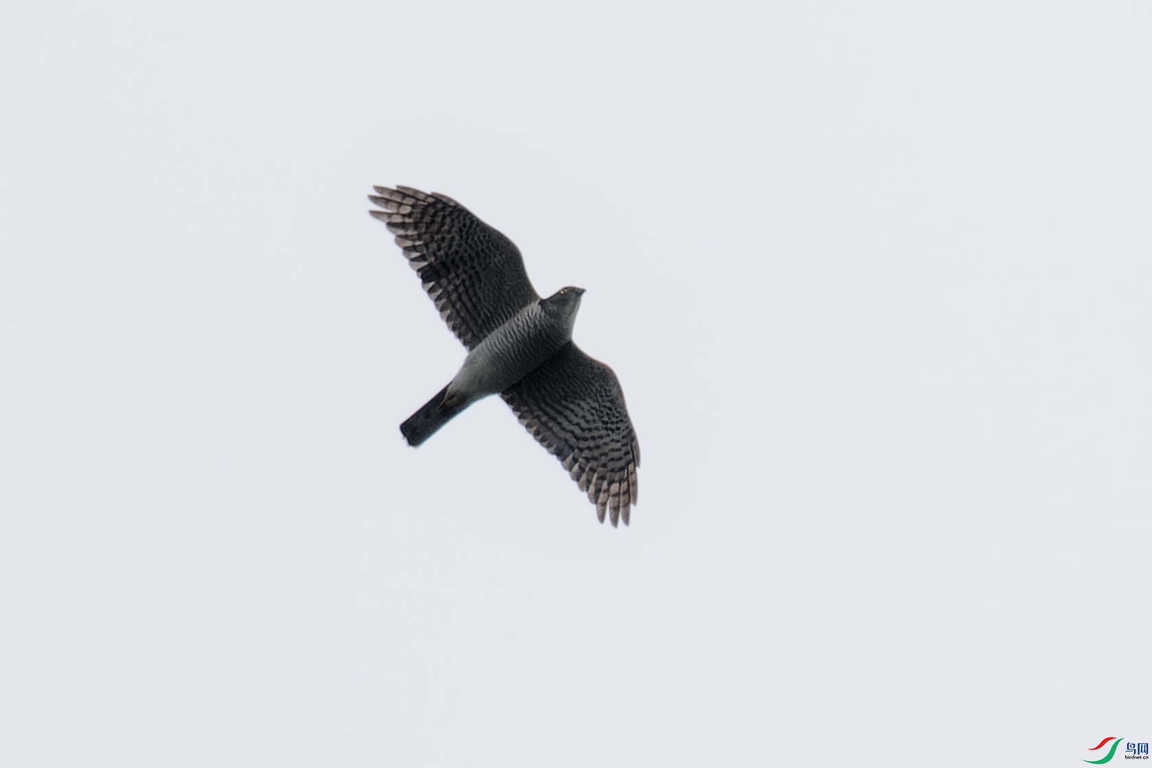 202410121035-ORF-1.jpg