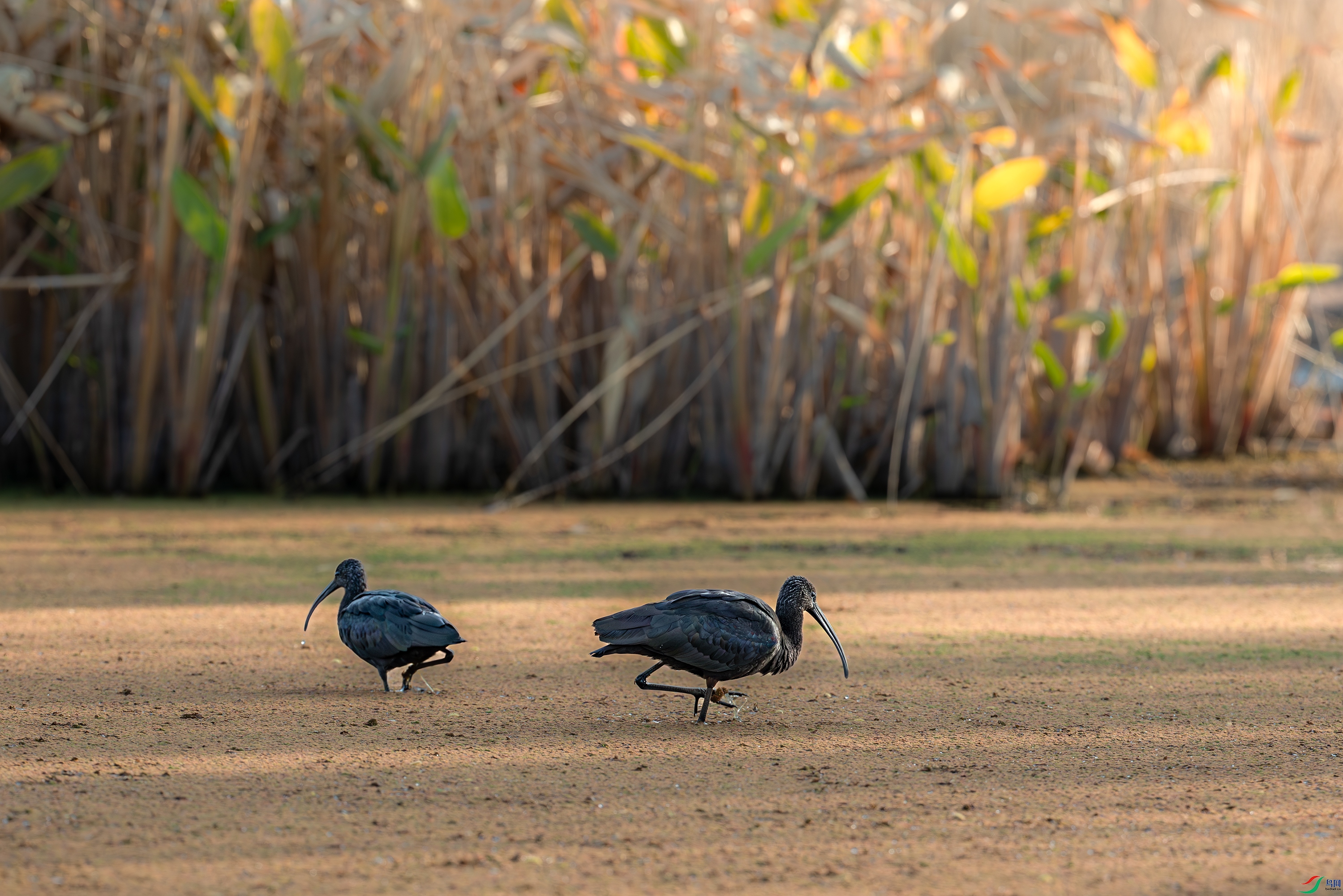 3S5A6061-����ǿ-NR ����.jpg