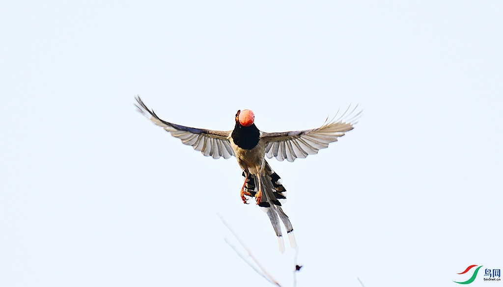 DSC_3056.JPG