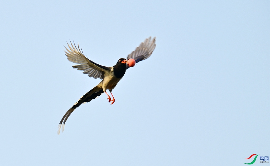 DSC_3612.JPG