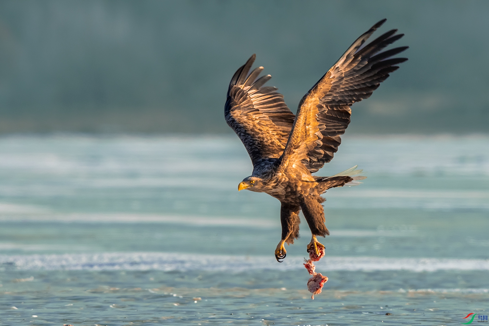 ��β����----�ҵ���