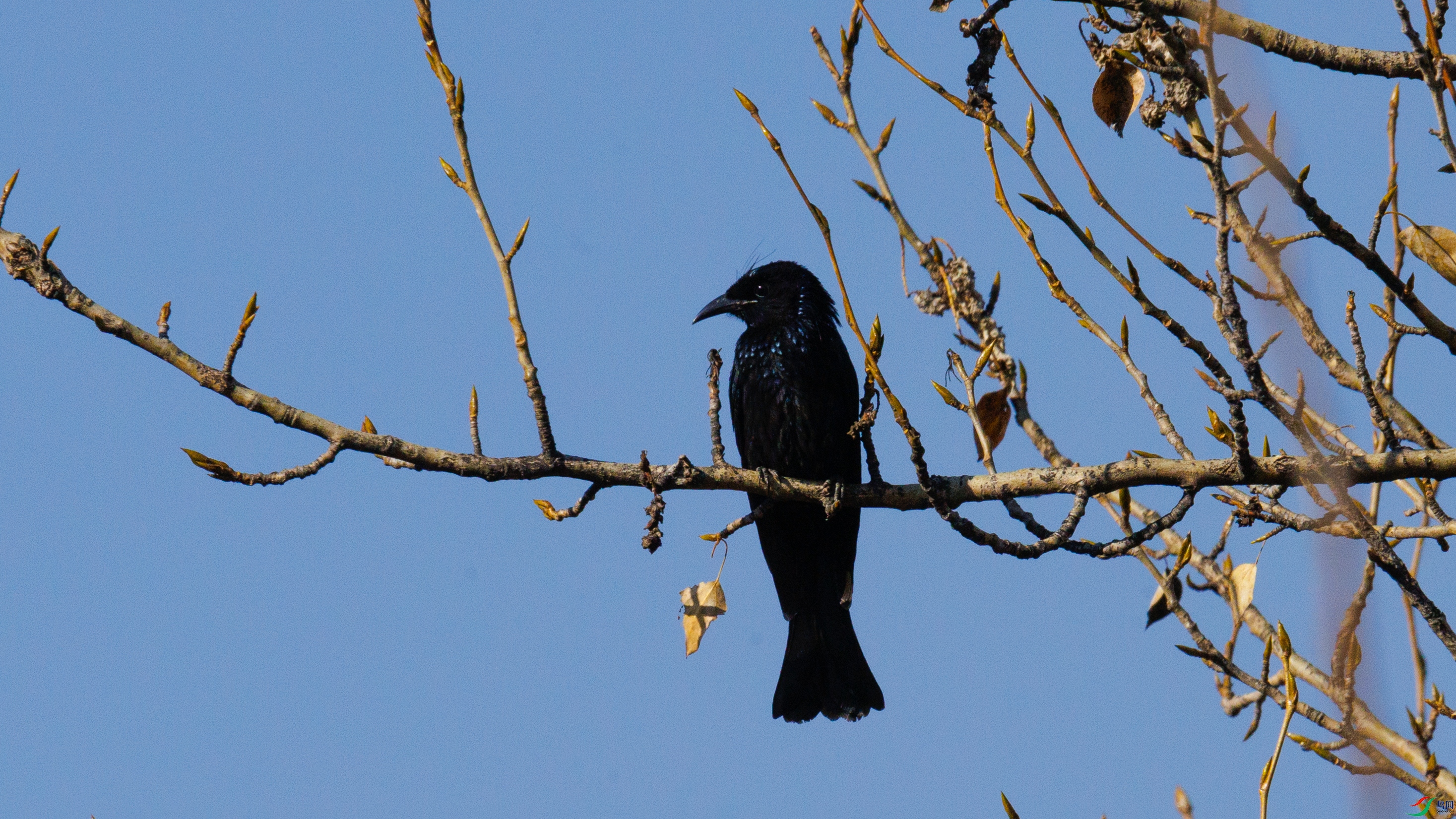 7X5A5978 ����.jpg