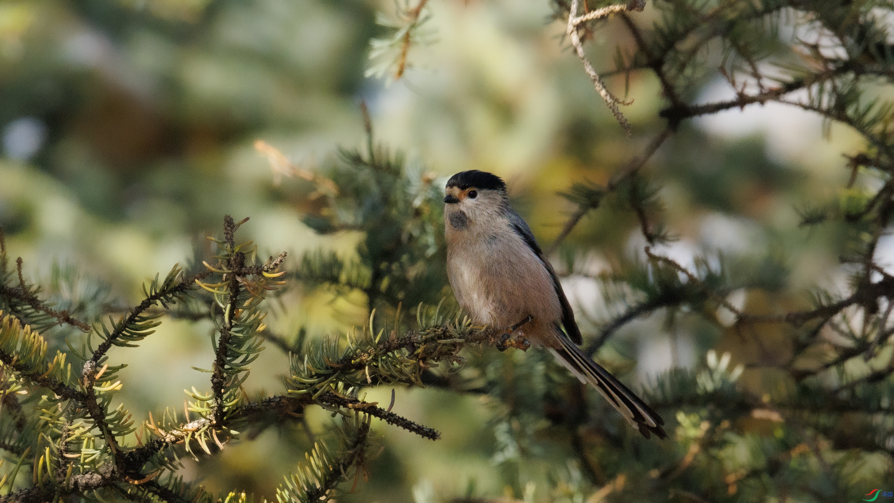 7X5A6015 ����9999.jpg