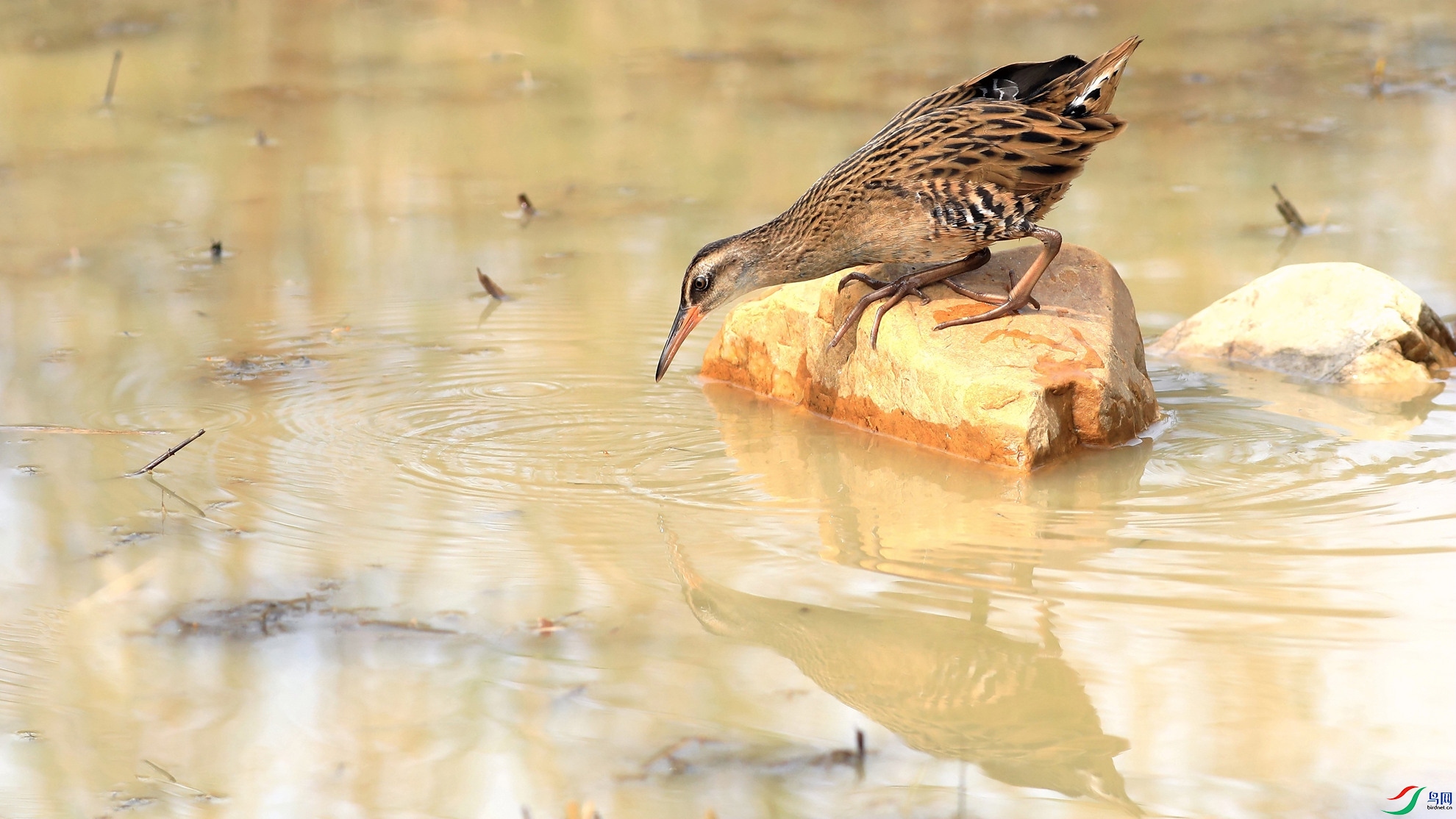 ��ͨ����2